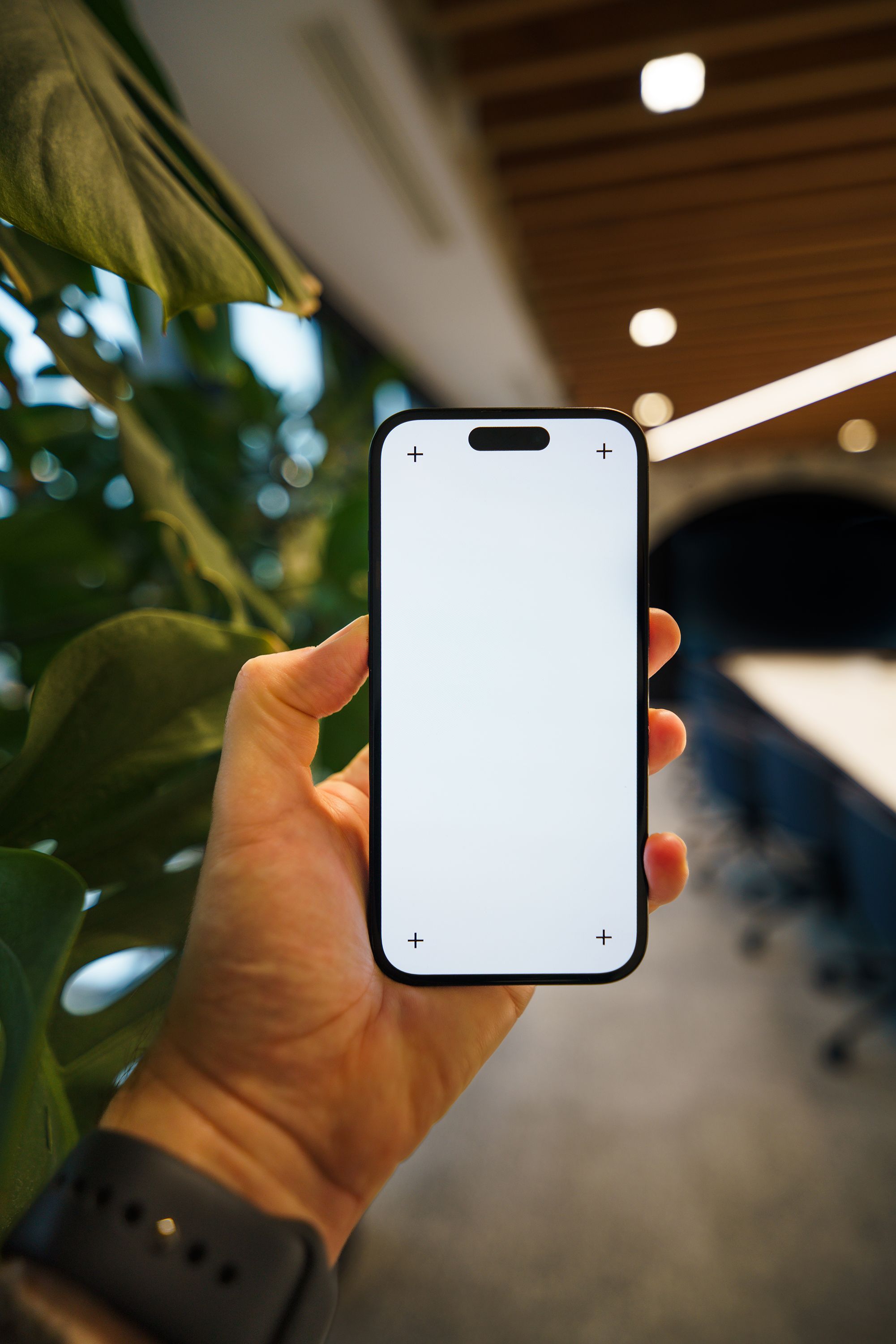 Close-up of a hand holding a smartphone with blank screen in a modern office setting with greenery.
