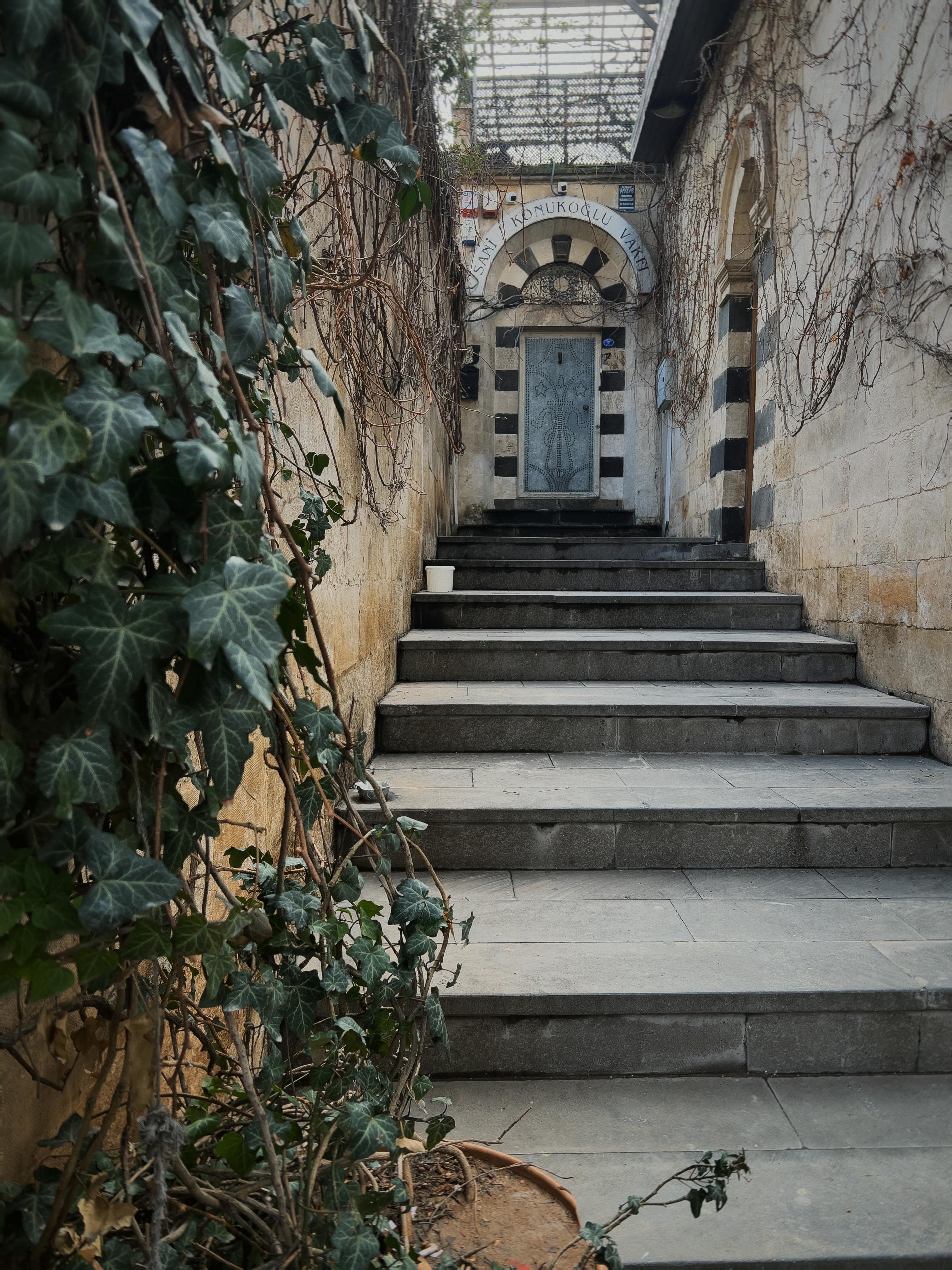 Ilmainen Muinaiset kiviportaat johtavat kaariovelle, jota koristaa muratti ja maalaismainen viehätys. Kuvapankkikuva