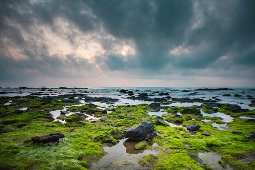 Free Breathtaking sunset over a moss-covered rocky shoreline with cloudy sky, creating a peaceful natural scene. Stock Photo
