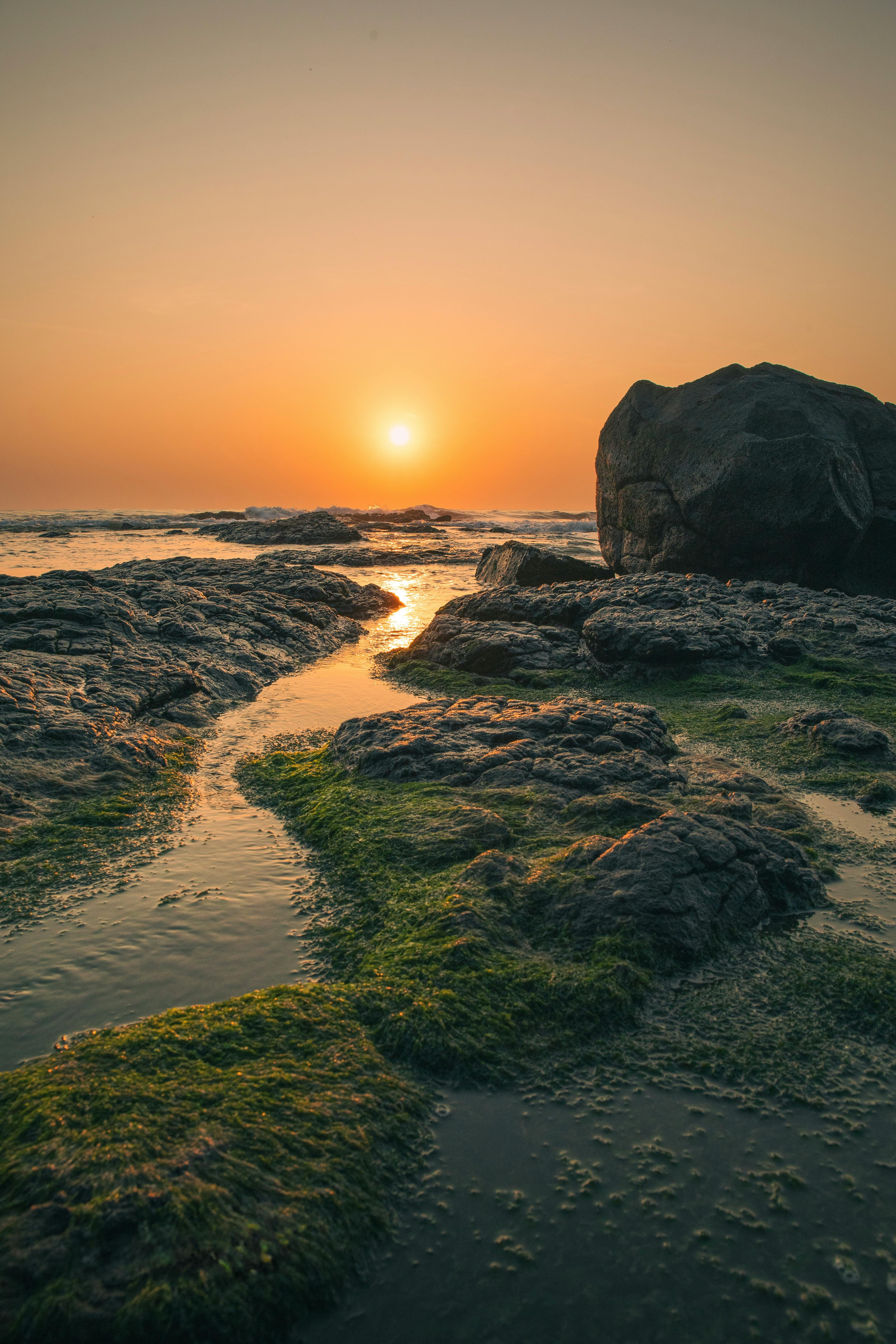 bezplatná Základová fotografie zdarma na téma canon, dramatický, fotografie Základová fotografie