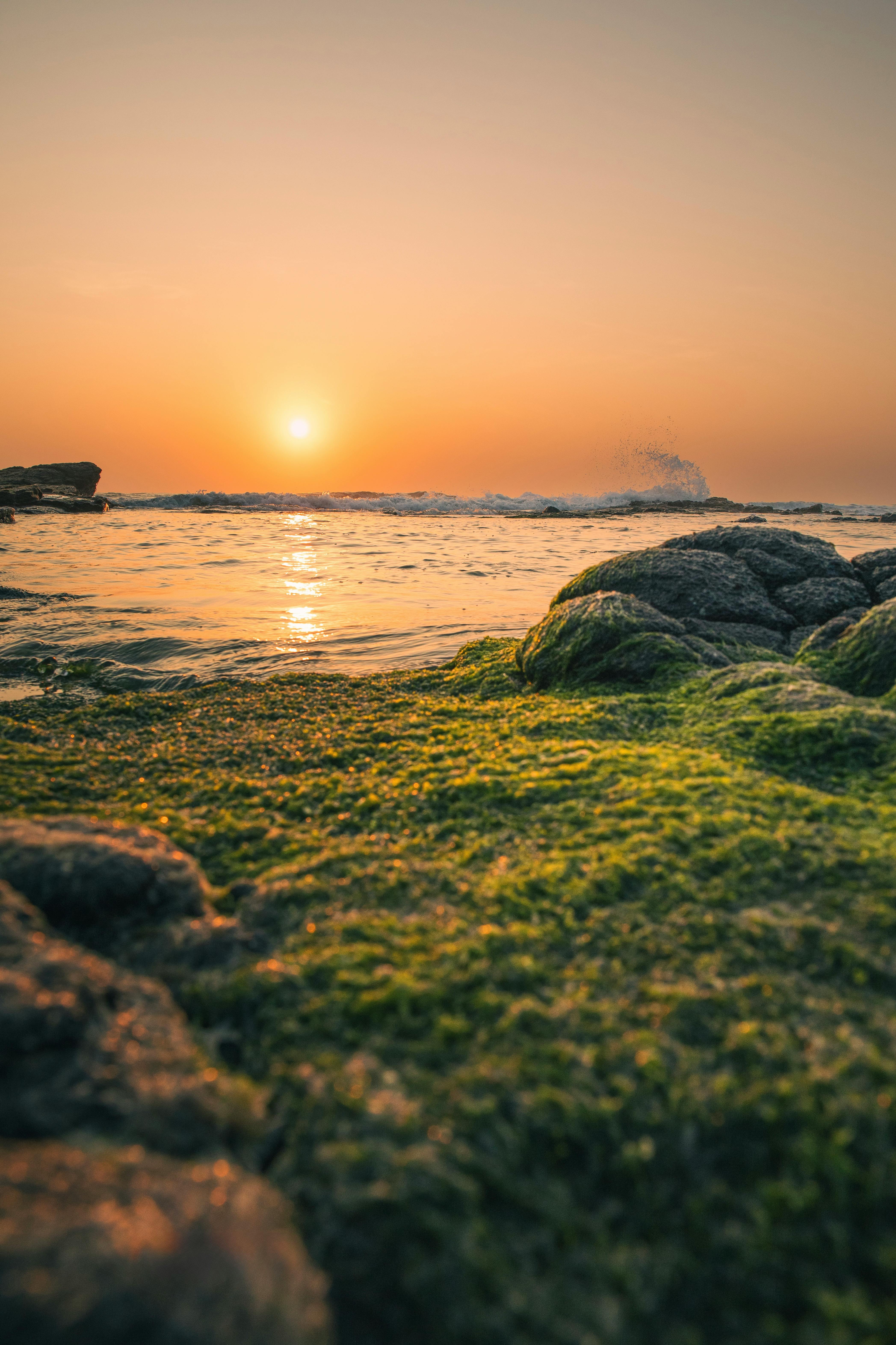 bezplatná Krásný západ slunce nad klidným oceánem se skalnatým, mechem porostlým pobřežím. Základová fotografie