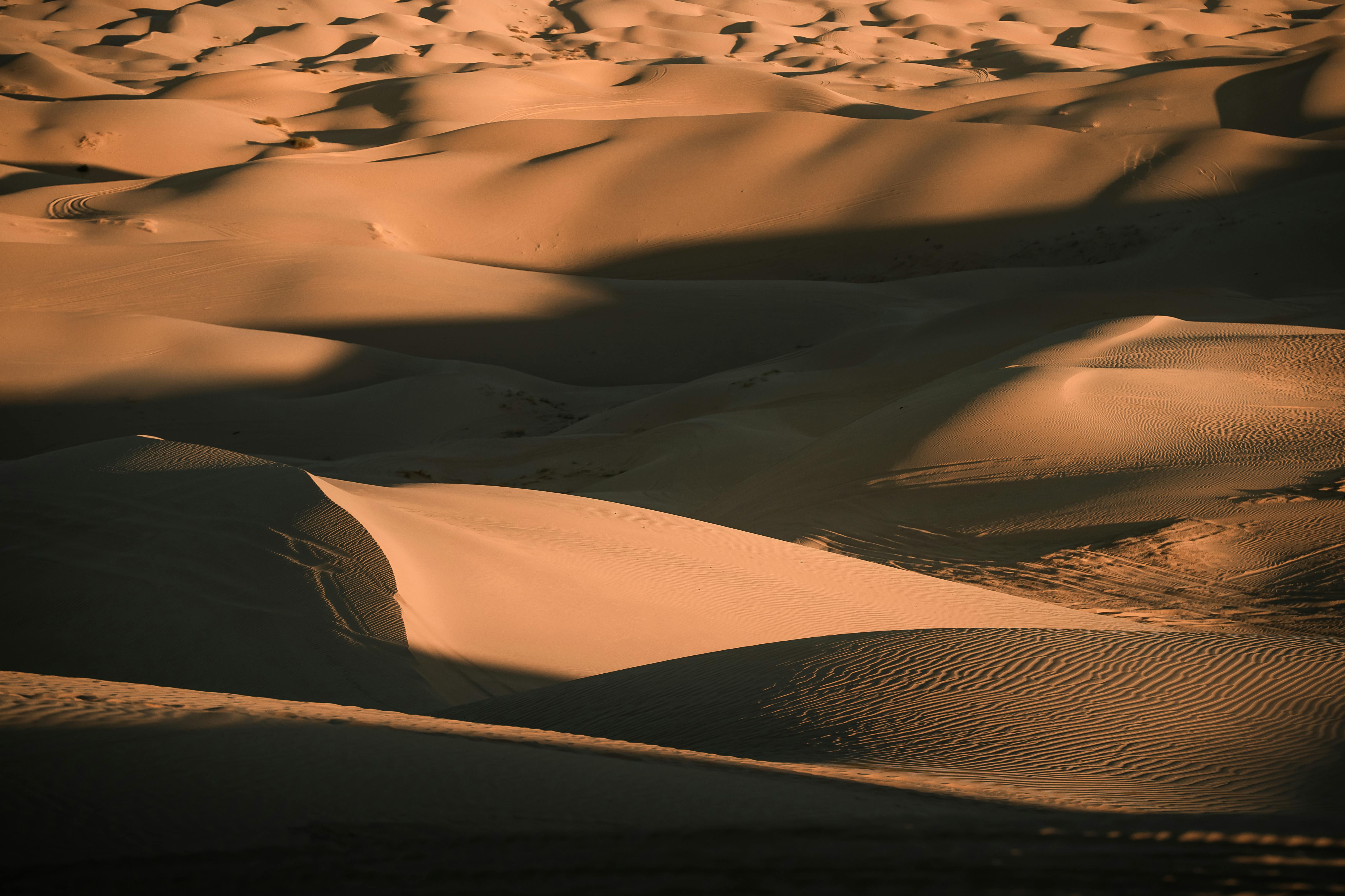 ฟรี เนินทรายสีทองอร่ามงดงามในเมืองบรอว์ลีย์ รัฐแคลิฟอร์เนีย ส่องสว่างด้วยแสงอบอุ่นของพระอาทิตย์ตกดิน คลังภาพถ่าย
