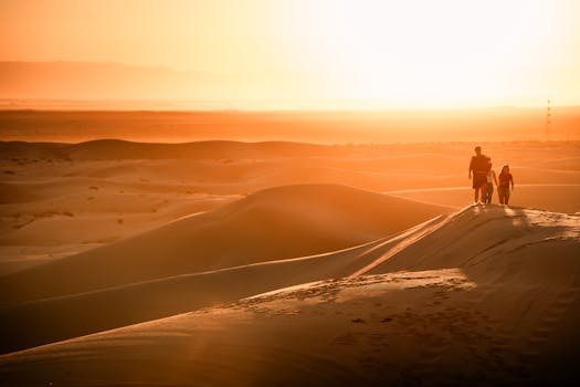 A family strolls through the golden Imperial Sand Dunes at sunset, creating a picturesque scene.