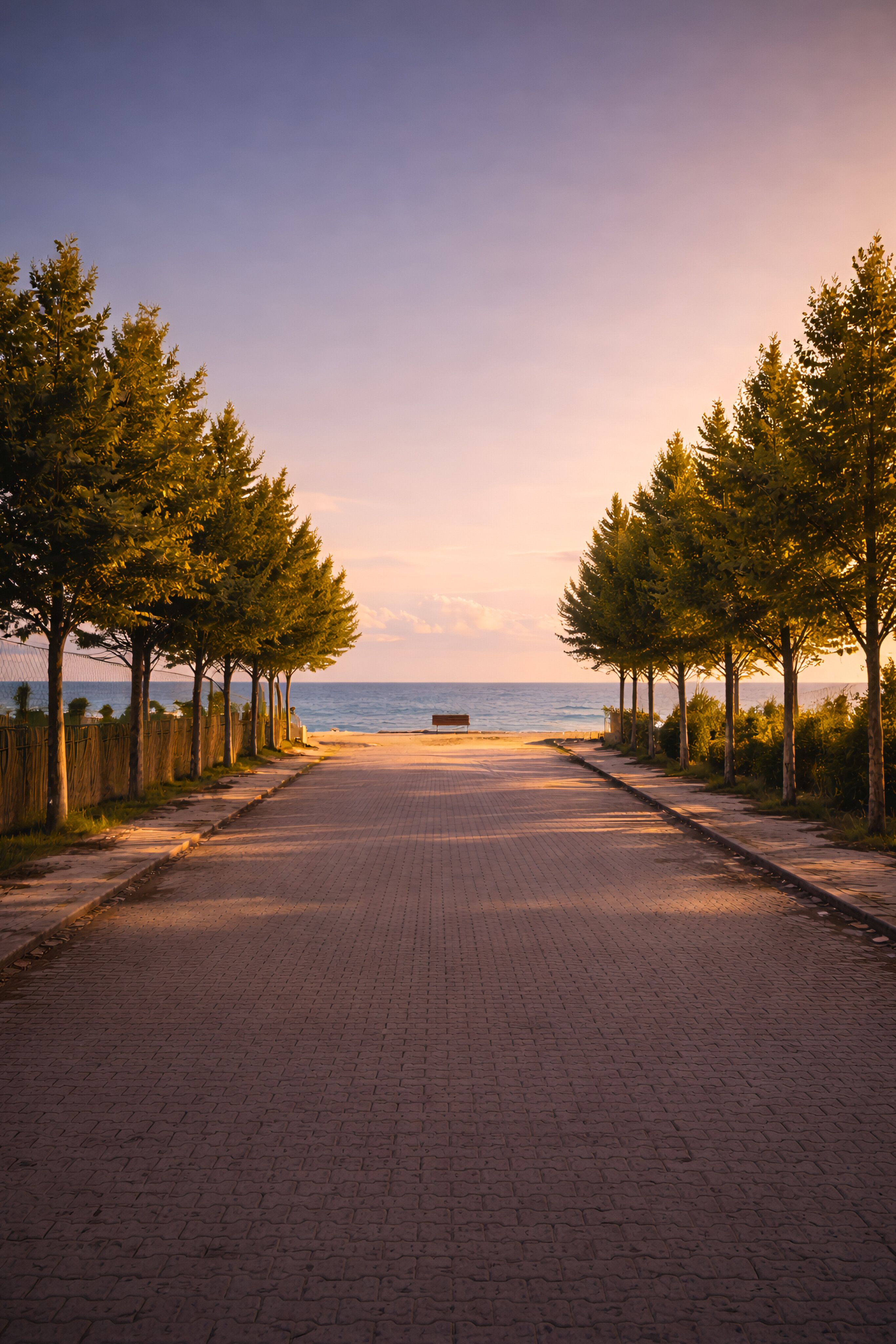 Serene Pathway to Ocean at Sunset · Free Stock Photo