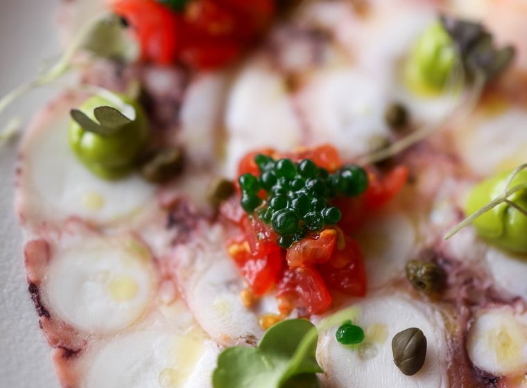 Octopus carpaccio with capers and microgreens at Lume