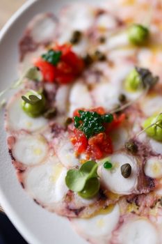 octopus photo