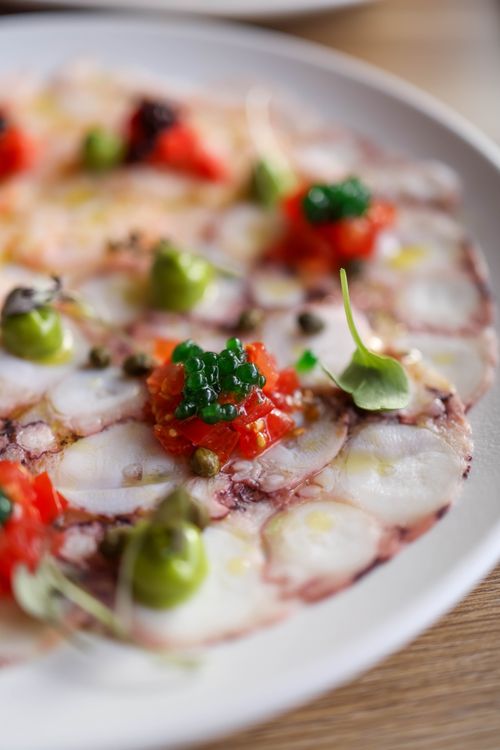 Free Close-up view of gourmet octopus carpaccio garnished with herbs and sauces. Stock Photo