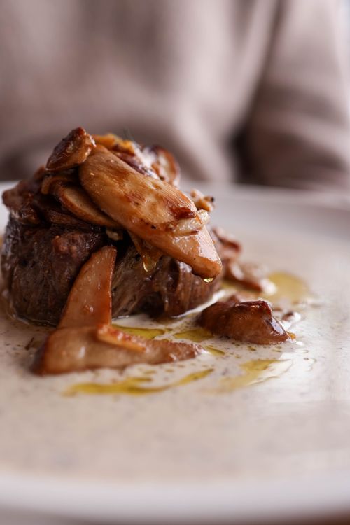 Fancy Fillet Gourmet Beef Fillet with Wild Mushrooms Β· Free Stock Photo