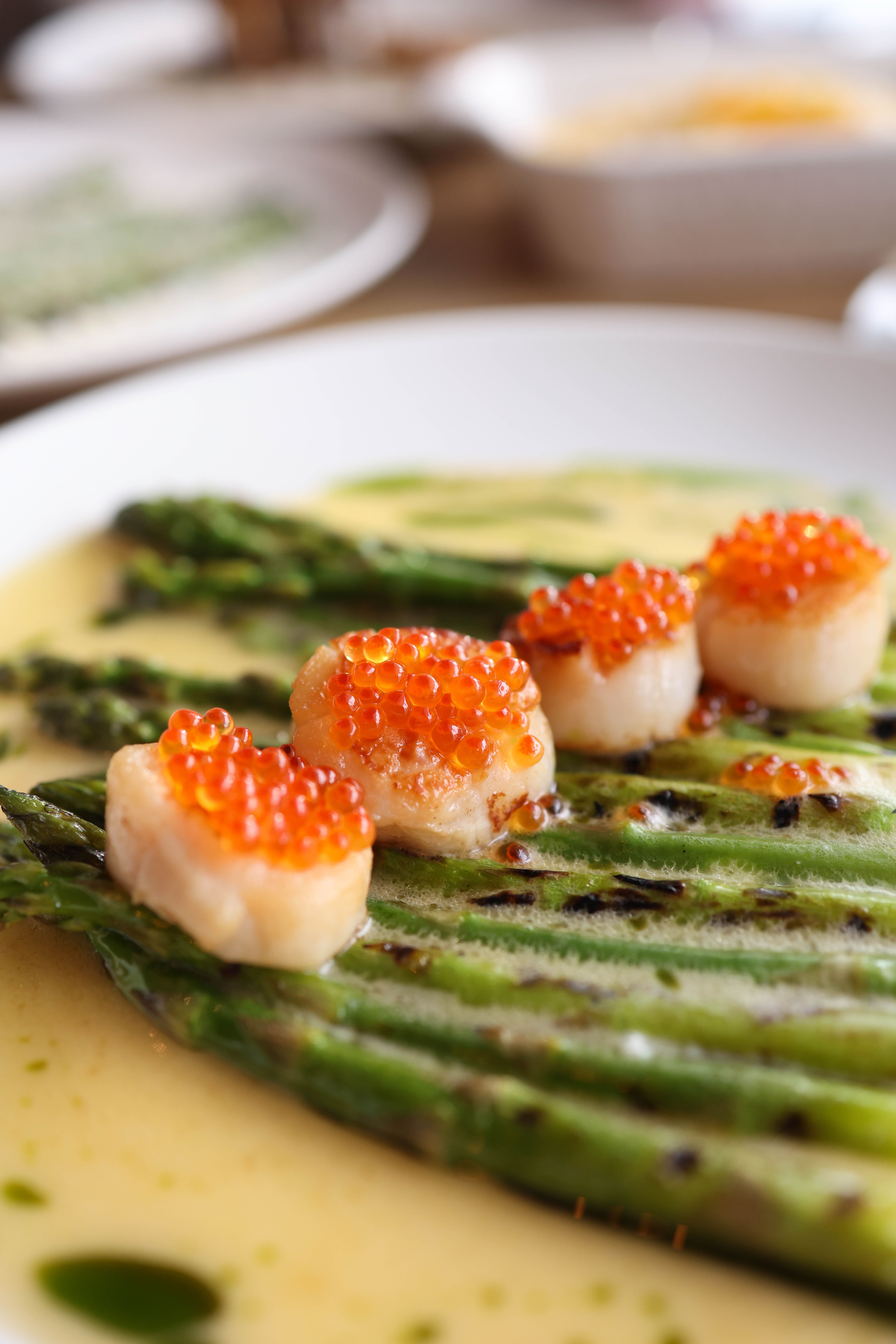 Gourmet Scallops with Asparagus and Roe · Free Stock Photo