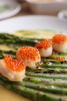 Close-up of a gourmet dish featuring scallops with roe on grilled asparagus, perfect for culinary enthusiasts.