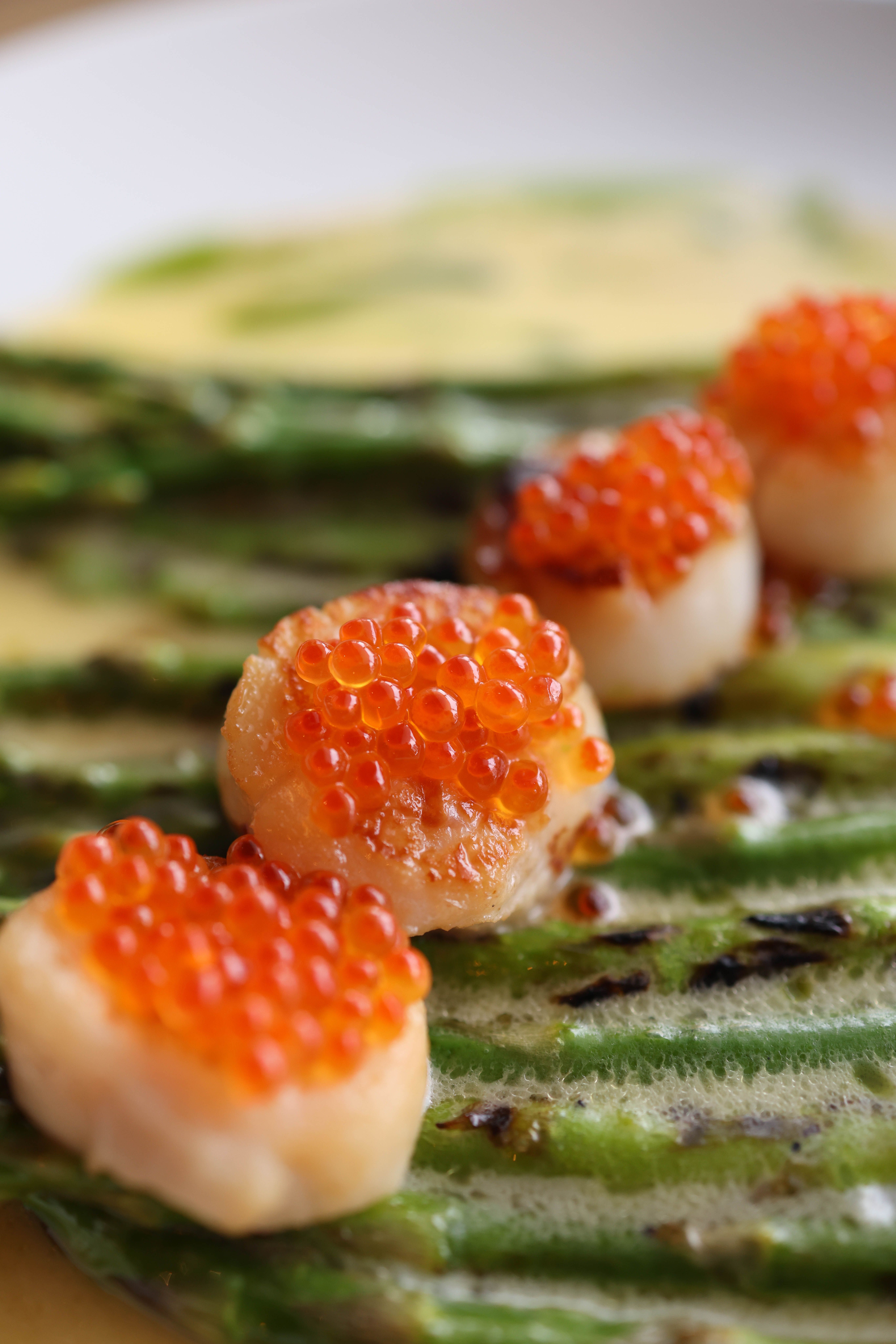 Elegant Scallops with Roe on Grilled Vegetables · Free Stock Photo