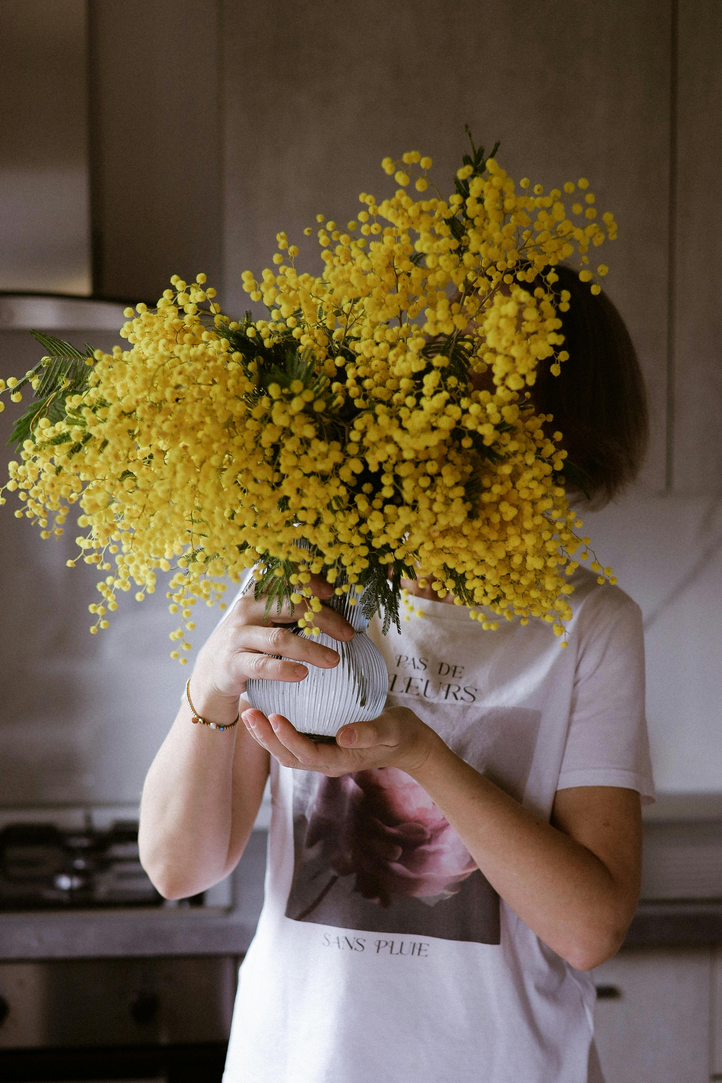 ฟรี คลังภาพถ่ายฟรี ของ กระถินเทพา, การจัดดอกไม้, การตกแต่งที่เป็นมิตรกับสิ่งแวดล้อม คลังภาพถ่าย