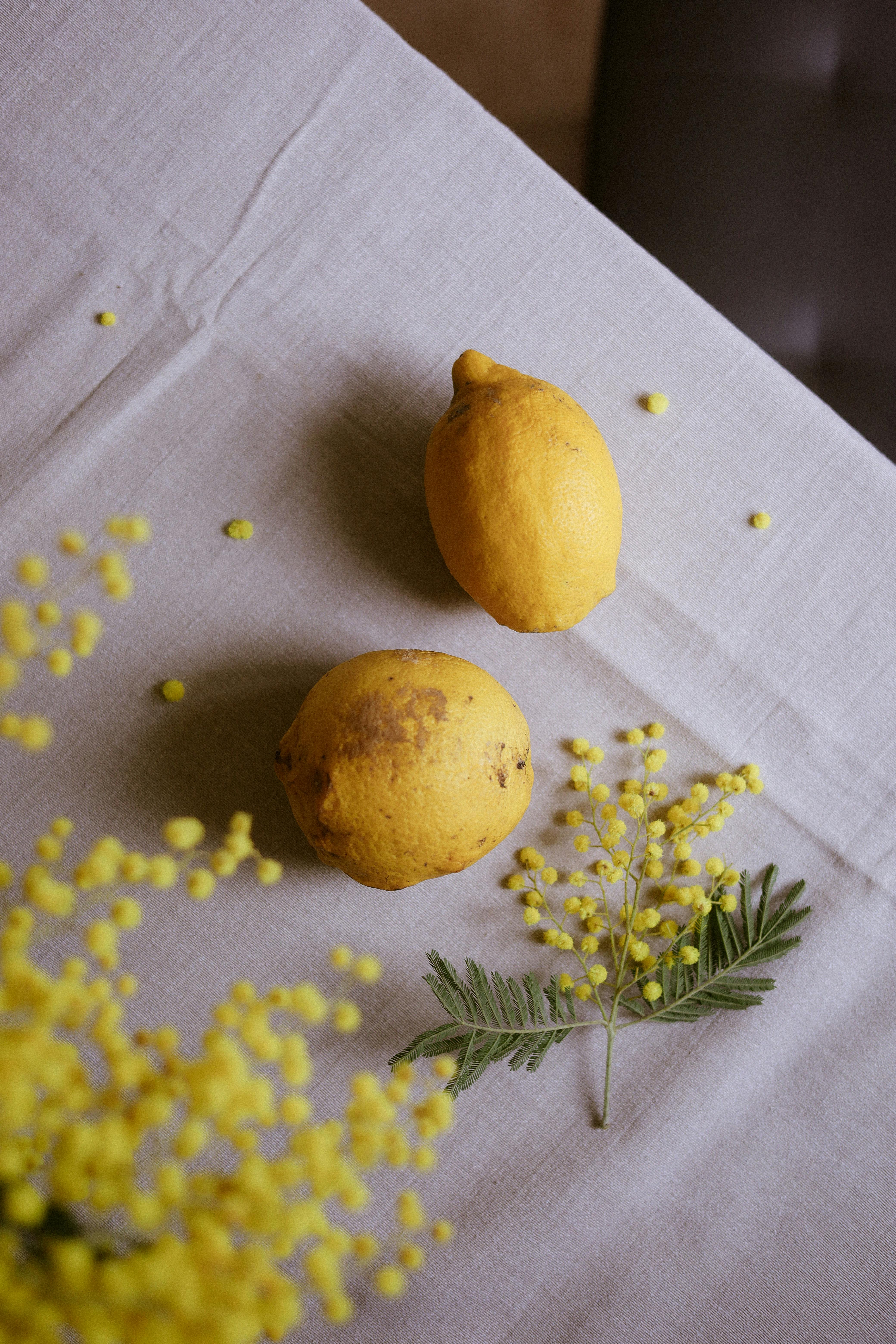 ฟรี คลังภาพถ่ายฟรี ของ การจัดดอกไม้, การจัดโต๊ะ, การตกแต่งบ้าน คลังภาพถ่าย