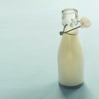 Glass bottle of milk — photo by Zakhar Vozhdaienko on Pexels