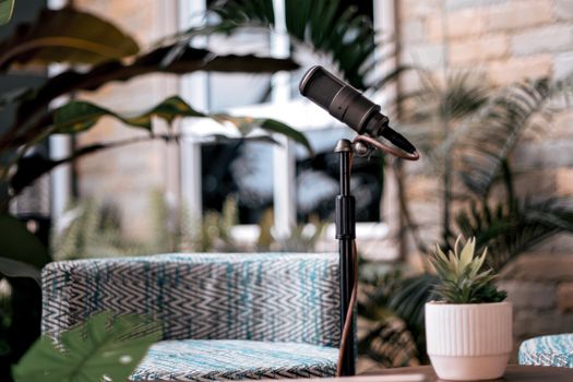 A microphone on a stand amidst indoor plants, perfect for a podcast setup.