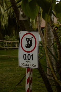 A funny speed limit sign featuring a sloth design in a lush Costa Rican forest.