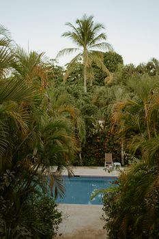 A serene outdoor pool set amidst tropical foliage in Costa Rica, showcasing natural beauty.