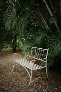 A white metal bench surrounded by lush tropical greenery in Costa Rica.