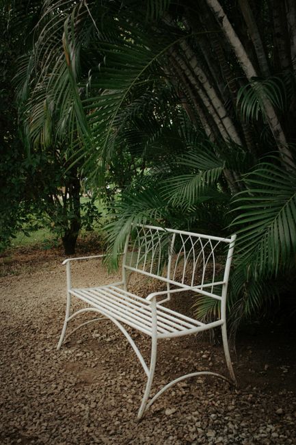 A white metal bench surrounded by lush tropical greenery in Costa Rica.