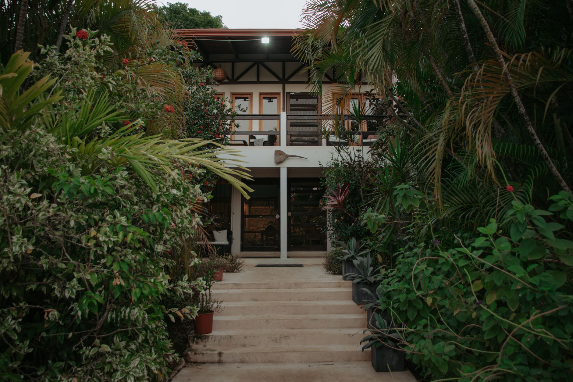 Organic food served at a Costa Rican resort