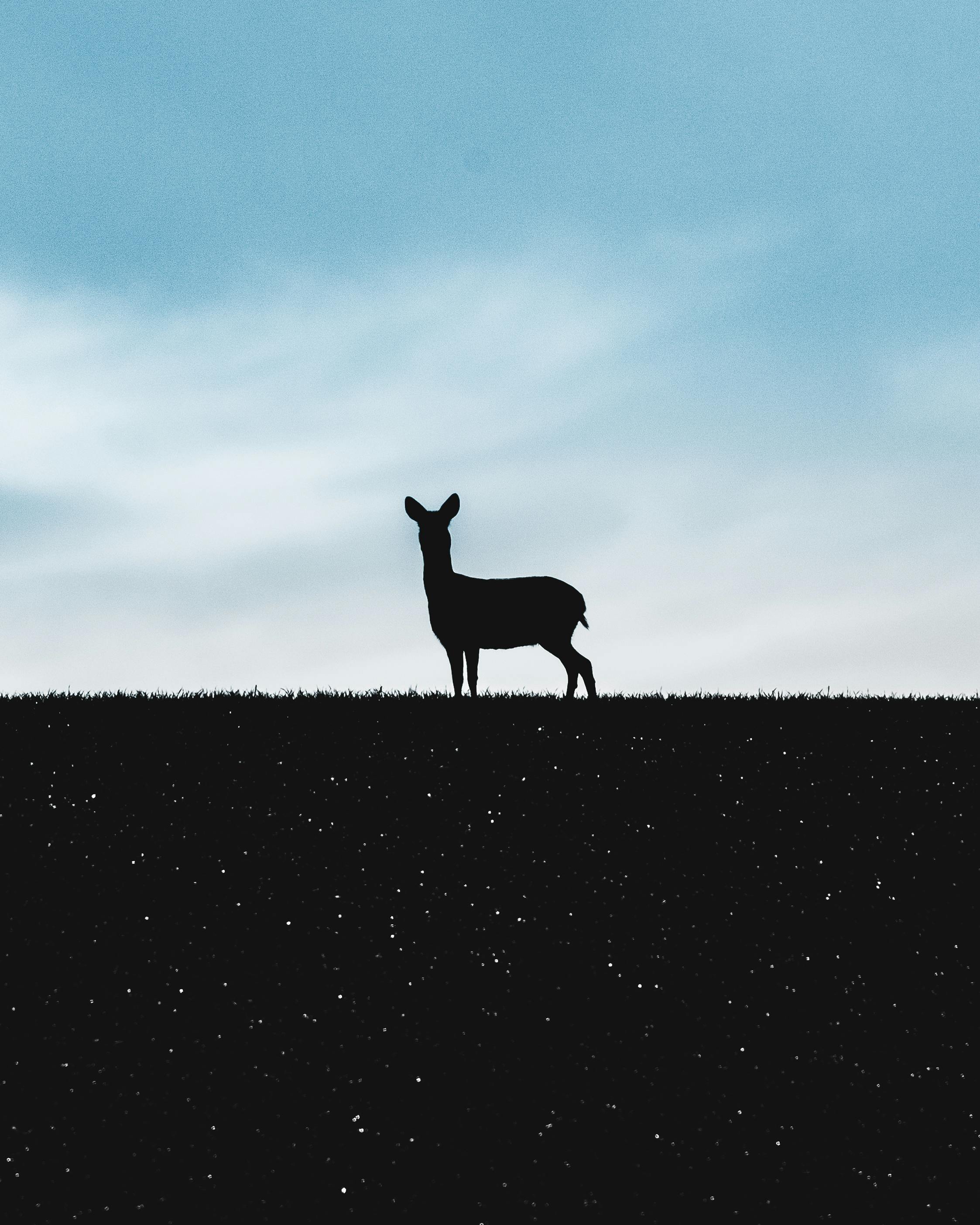 Miễn phí Ảnh lưu trữ miễn phí về ánh đèn đêm, bầu trời, bình yên Ảnh lưu trữ