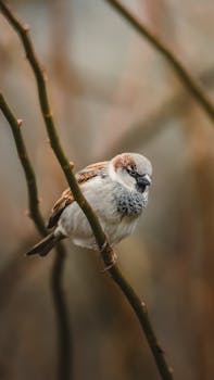 Captivating close-up of a sparrow perched delicately on a branch.