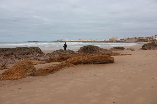 Free Explore the historic cityscape of Cádiz from a sandy beach with rocky shorelines and ancient walls. Stock Photo