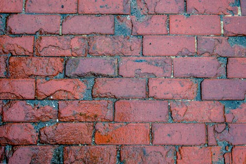 Free Red Brick Wall Stock Photo