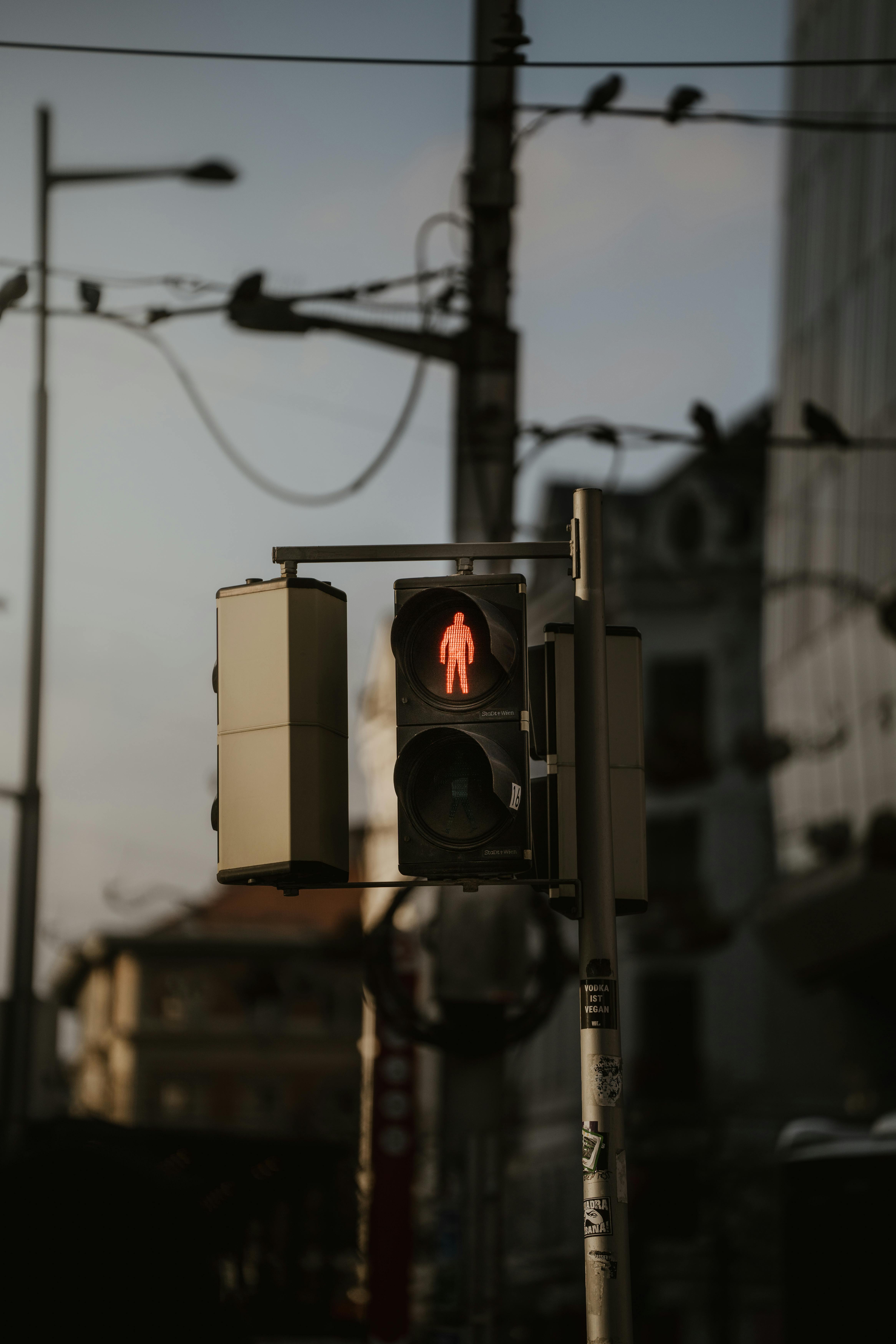 bezplatná Červený semafor pro chodce na městské ulici, zachycující moment městského životního stylu. Základová fotografie