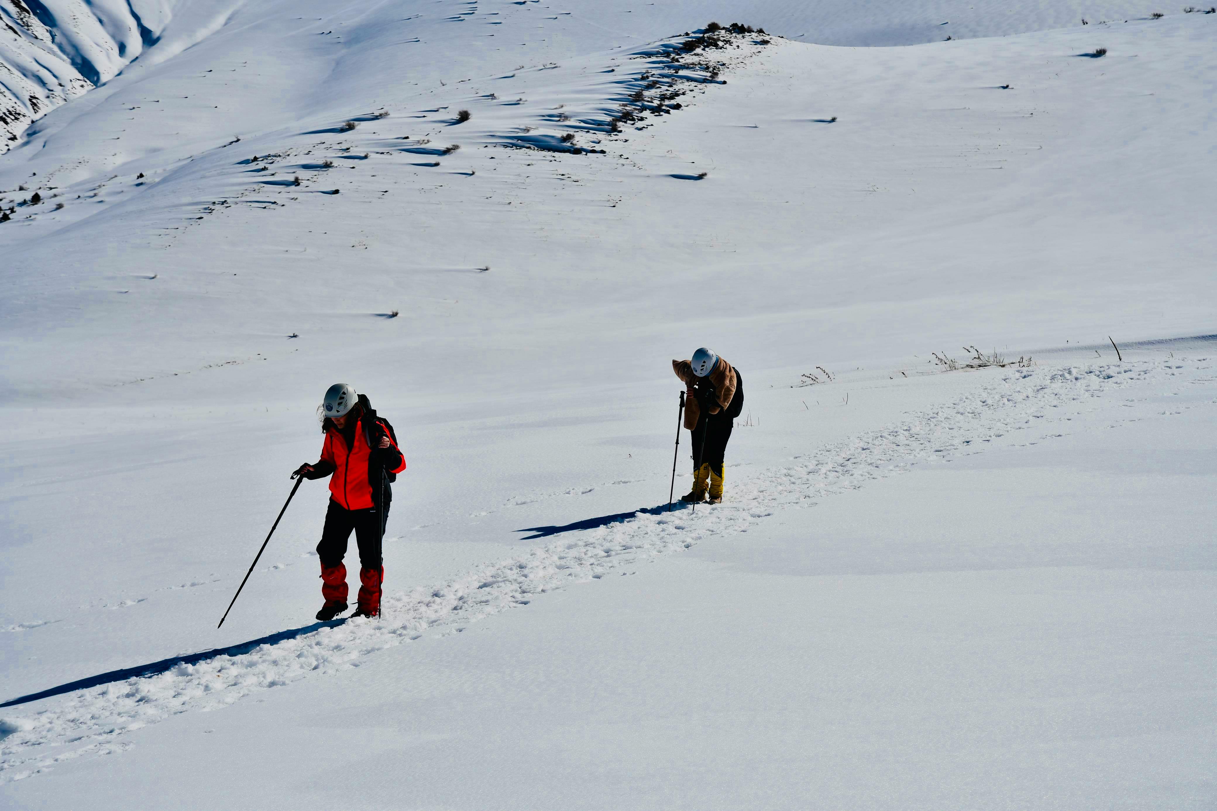 gear reviews gear ratings — Photo by Büşra Nur Demirci on Pexels