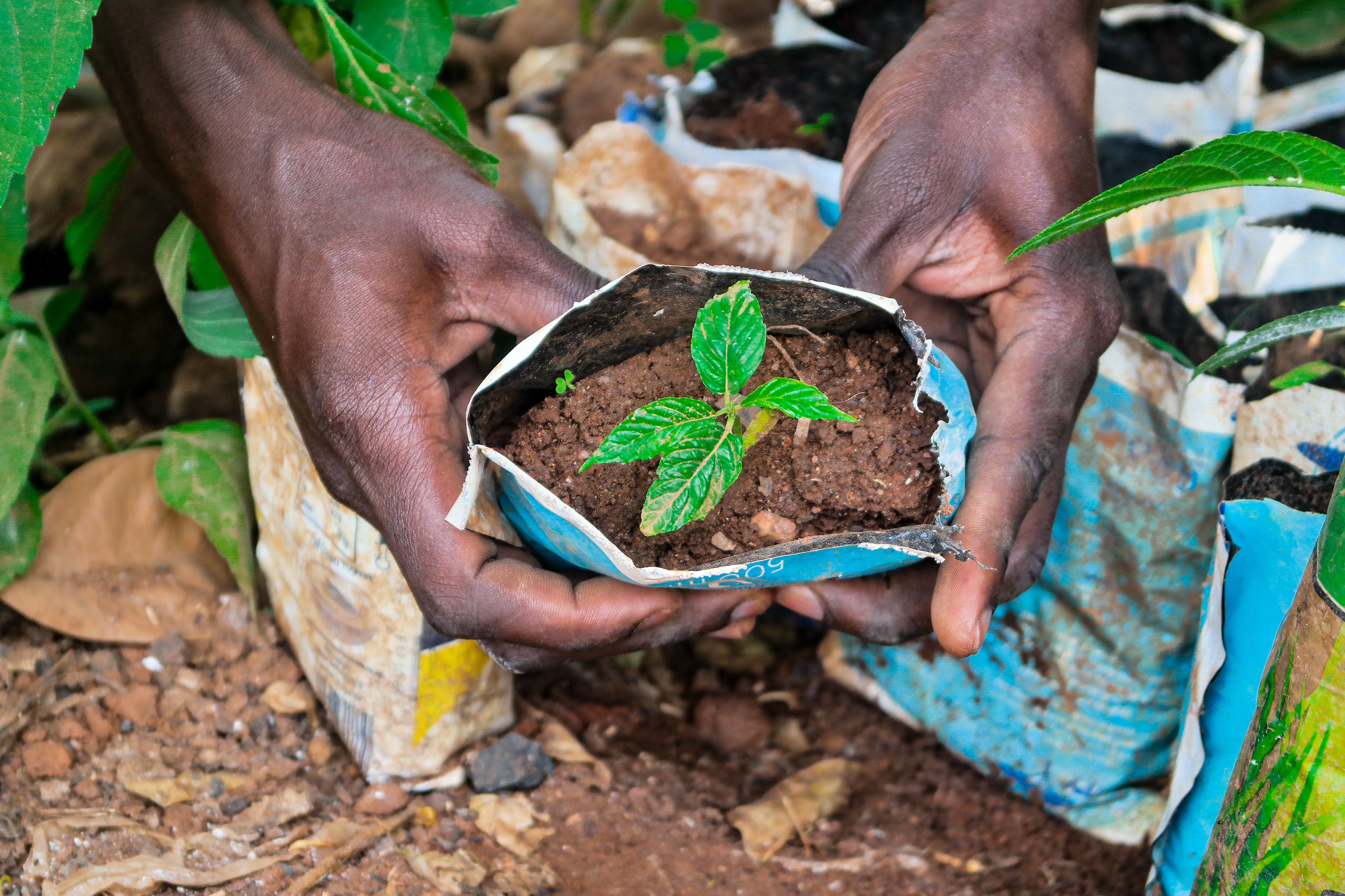 Agriculture Development