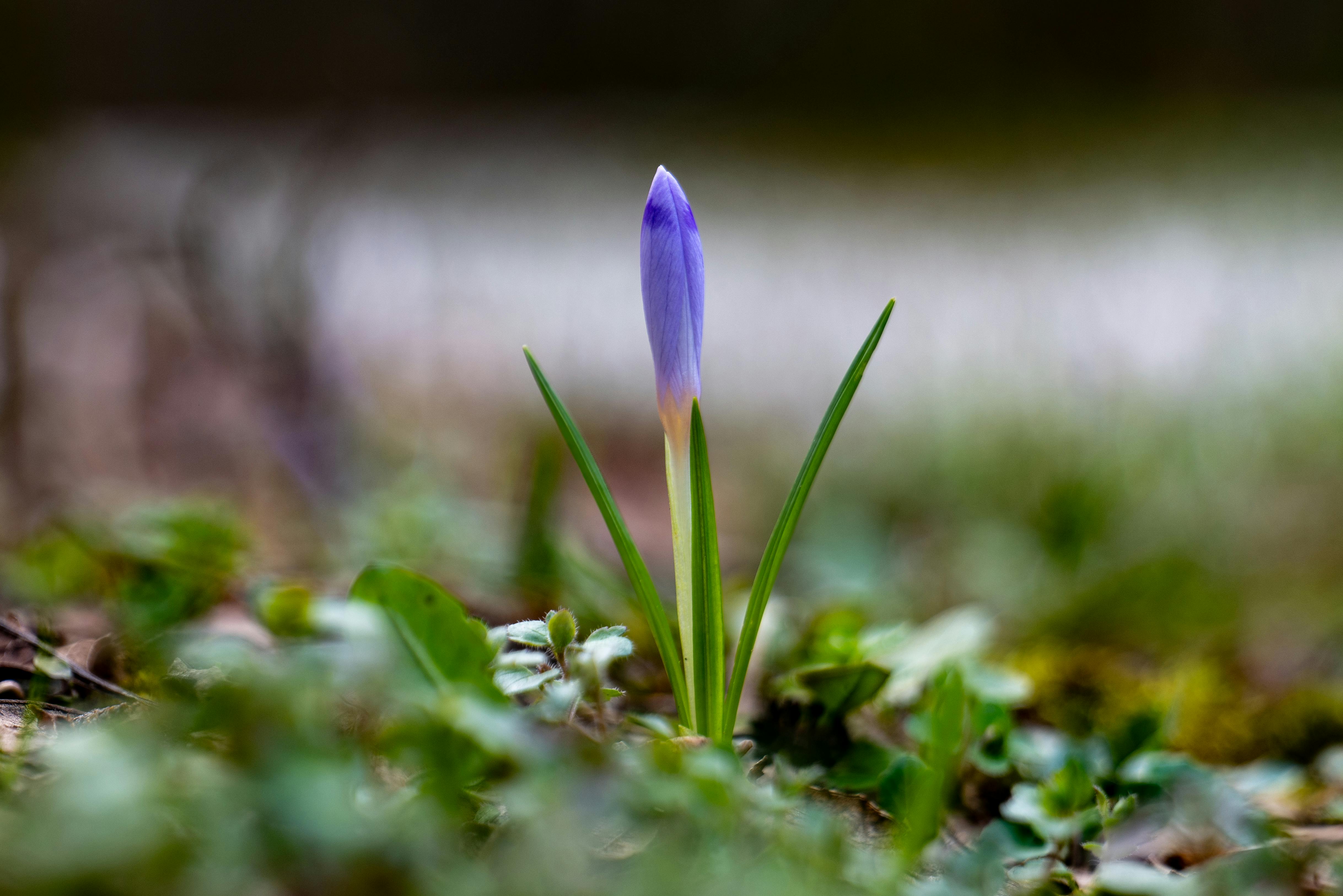 The Complete Guide to Skincare routine routine