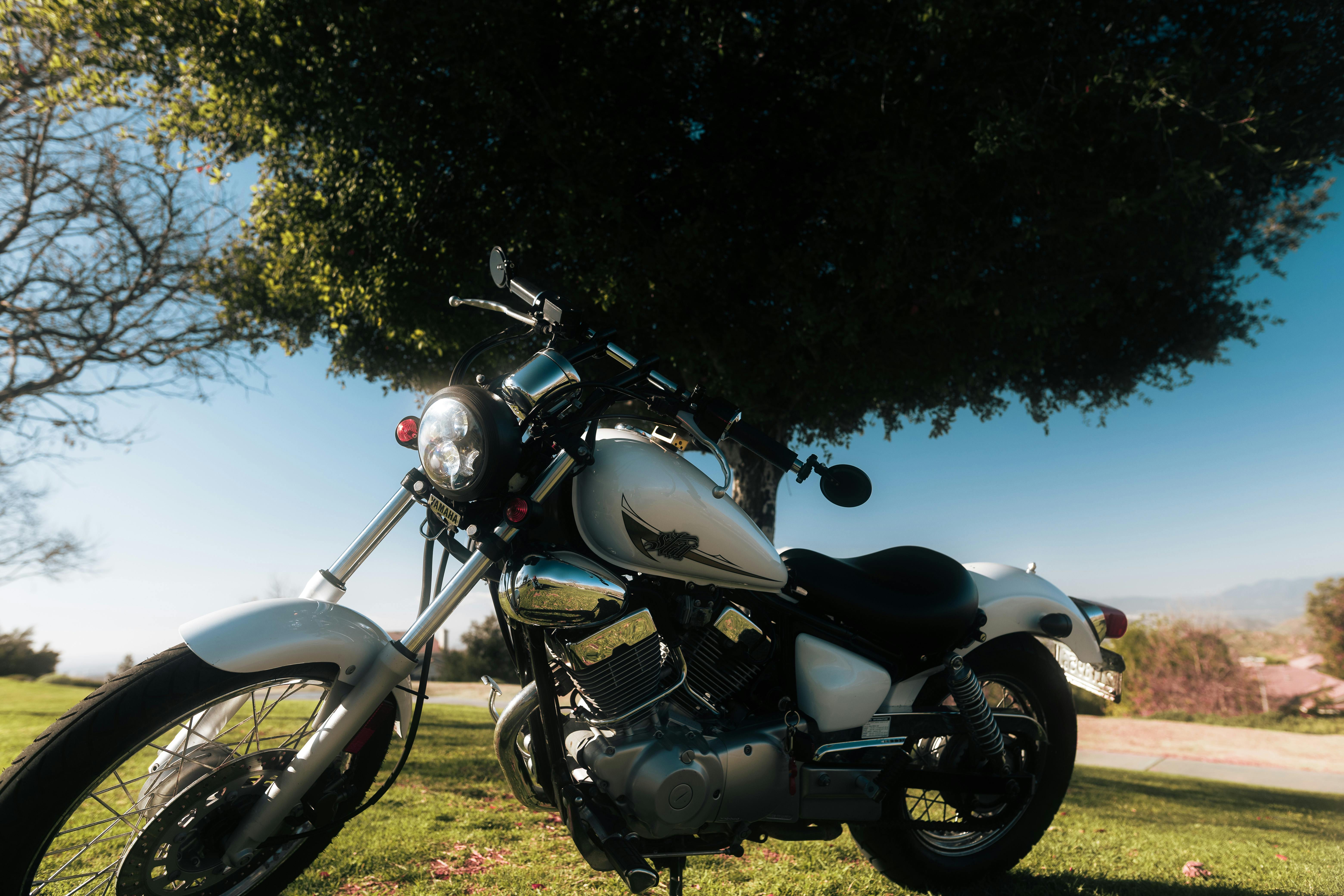 ฟรี รถจักรยานยนต์โครเมียมสุดหรูจอดอยู่ใต้ต้นไม้ โดยมีท้องฟ้าสีครามสดใสเป็นฉากหลัง สื่อถึงอิสรภาพ คลังภาพถ่าย