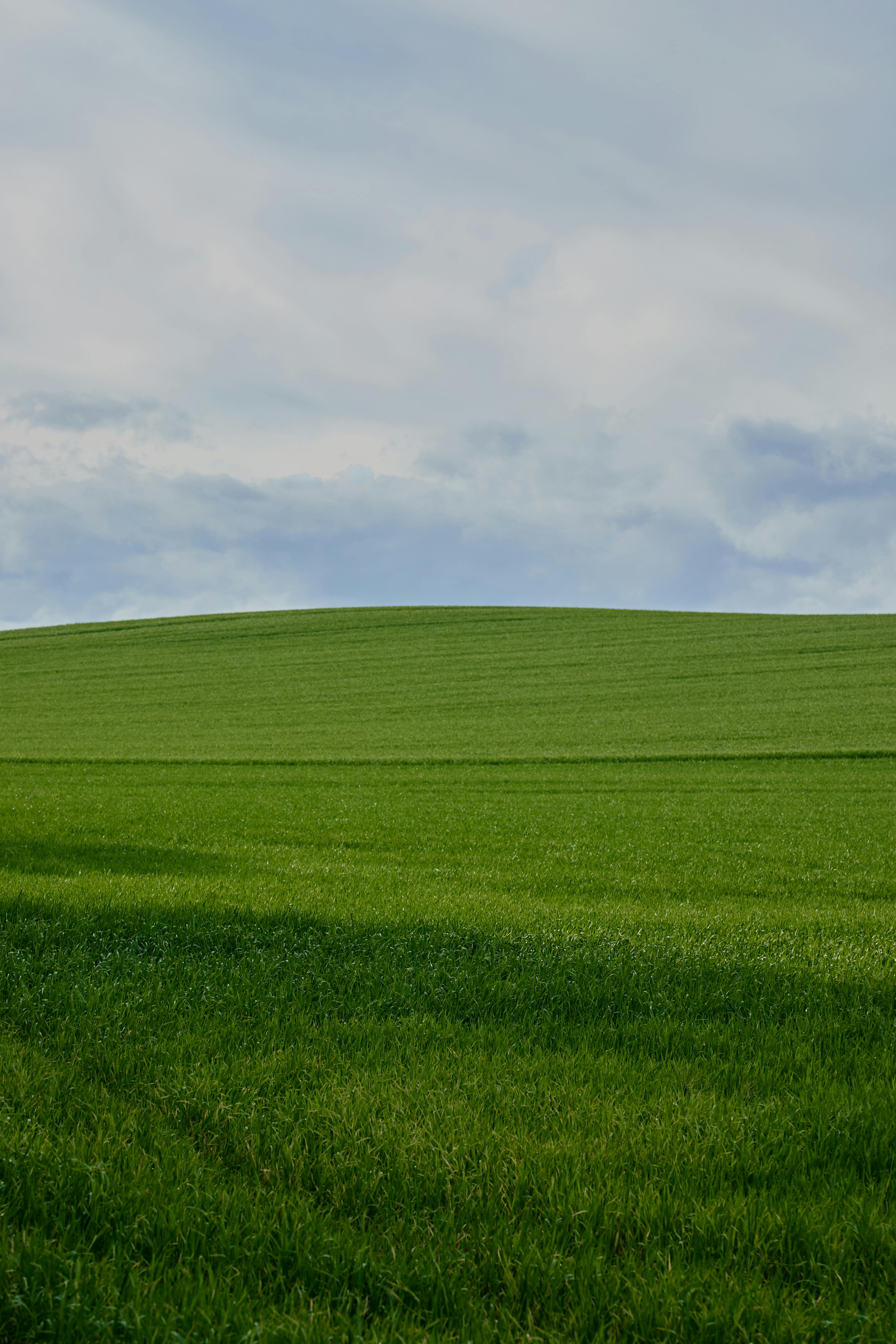 Kostenlos Eine saftig grüne Wiese erstreckt sich unter einem sanft bewölkten Himmel und fängt die natürliche Ruhe ein. Stock-Foto