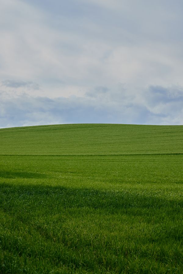 Green Grass Field Under Blue Sky · Free Stock Photo