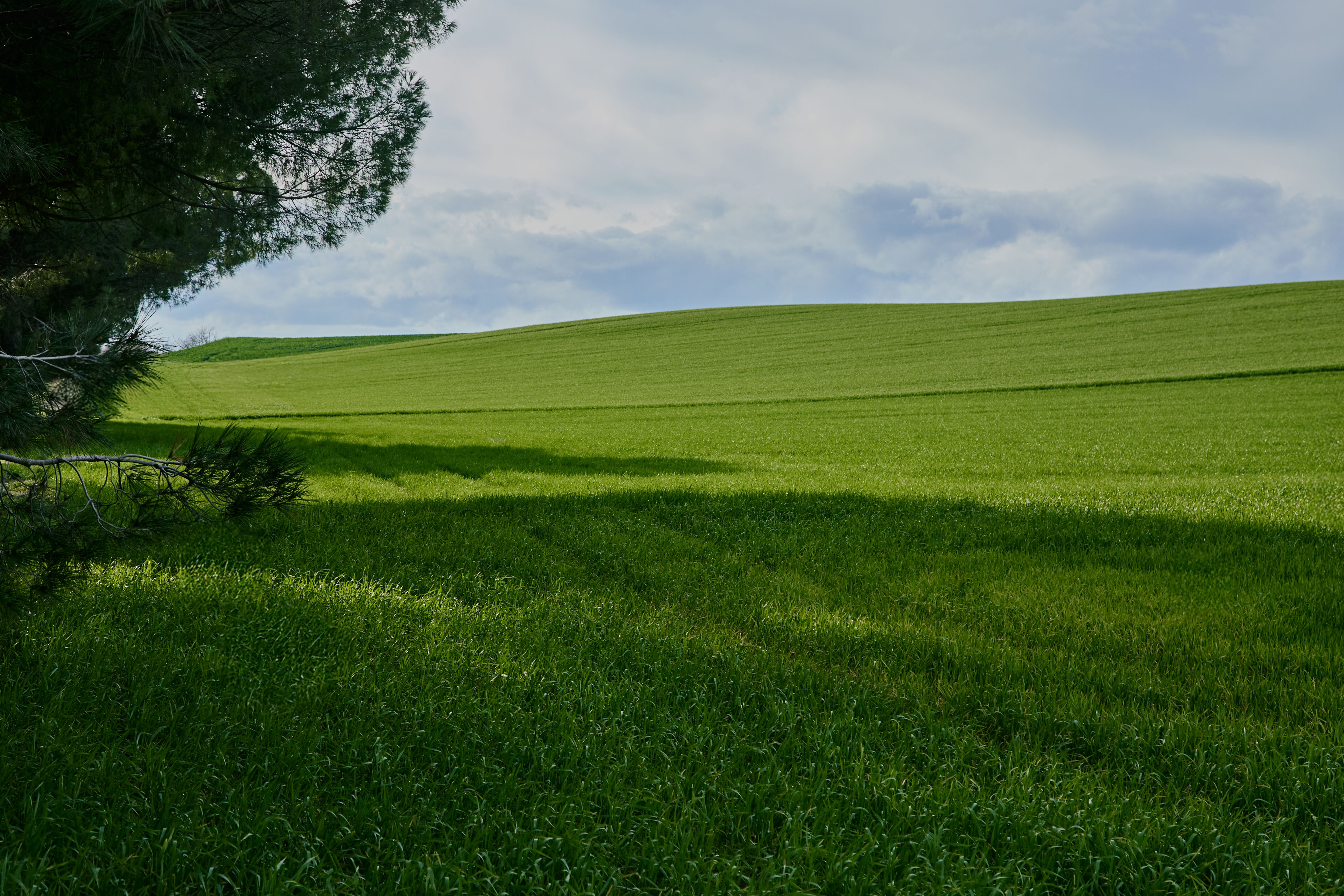 Lush Green Field Under Cloudy Sky Landscape · Free Stock Photo