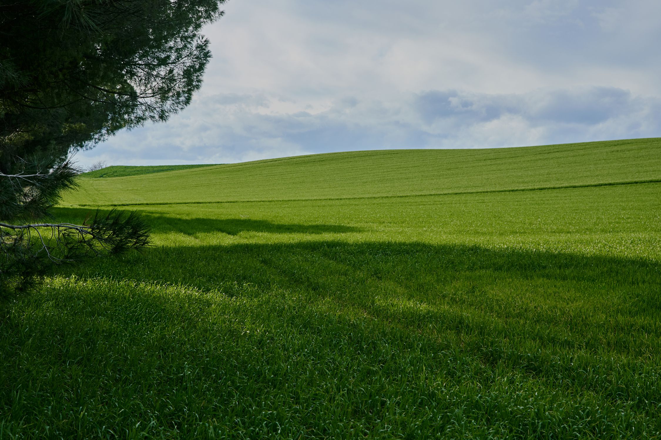 Lush Green Field Under Cloudy Sky Landscape · Free Stock Photo
