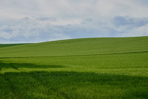 Free Lush green fields stretching across the landscape under a cloudy sky, exuding tranquility. Stock Photo