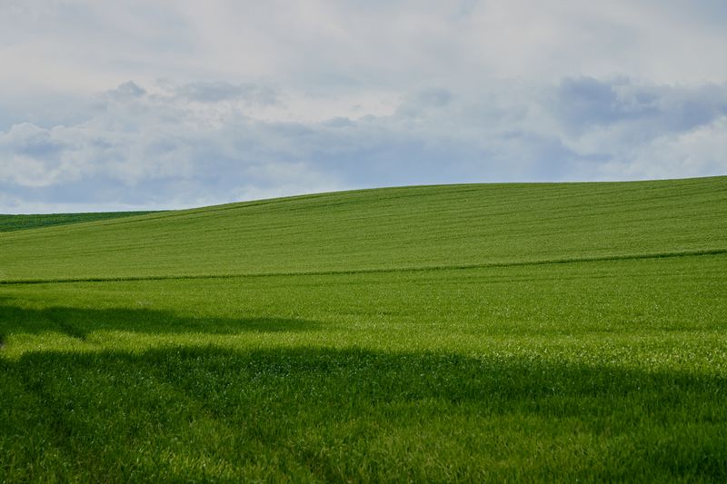 Vibrant Green Meadow Under Clear Blue Sky · Free Stock Photo