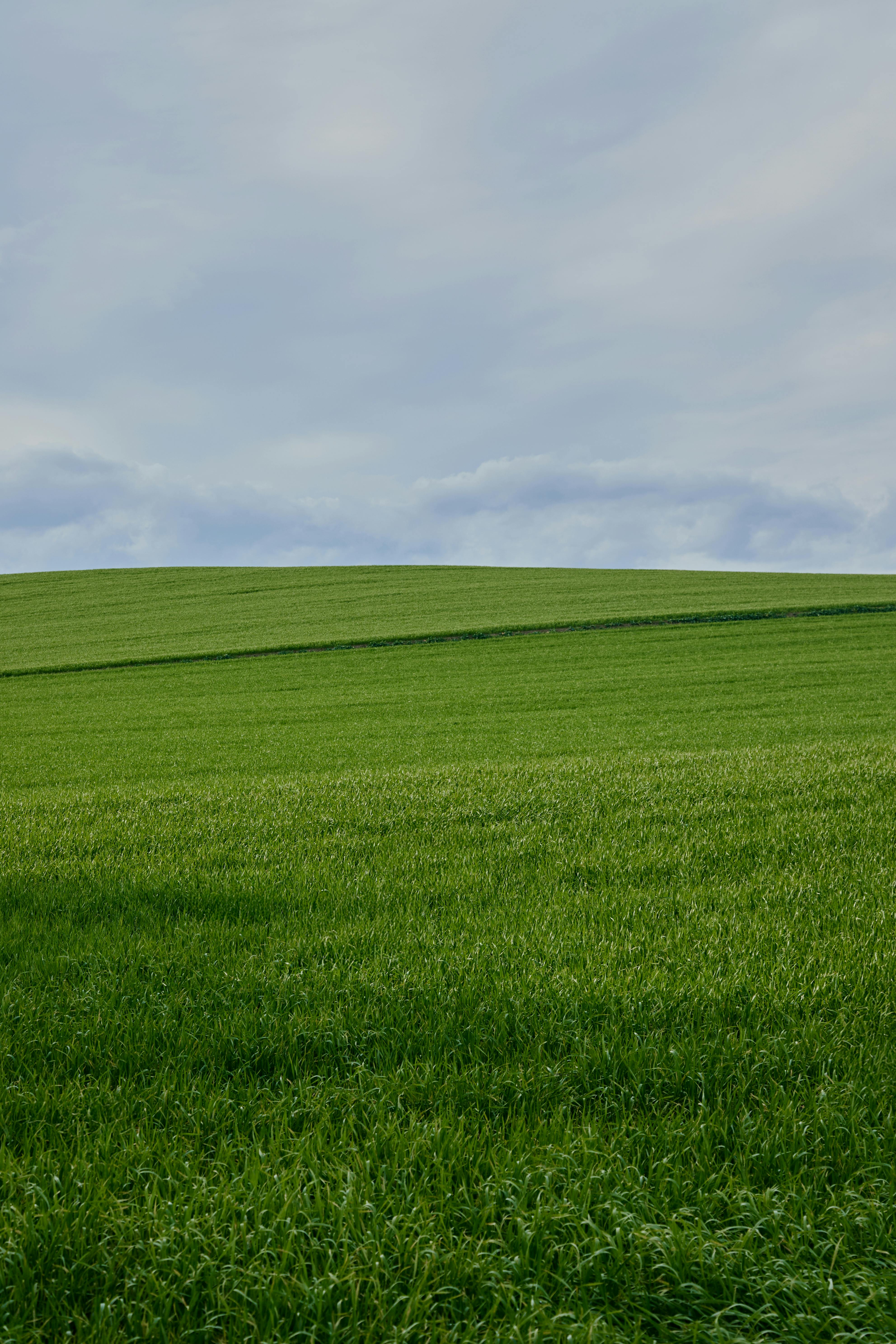 Gratis Frodig grønt felt under en overskyet himmel, perfekt for naturtemaprosjekter. Arkivbilde