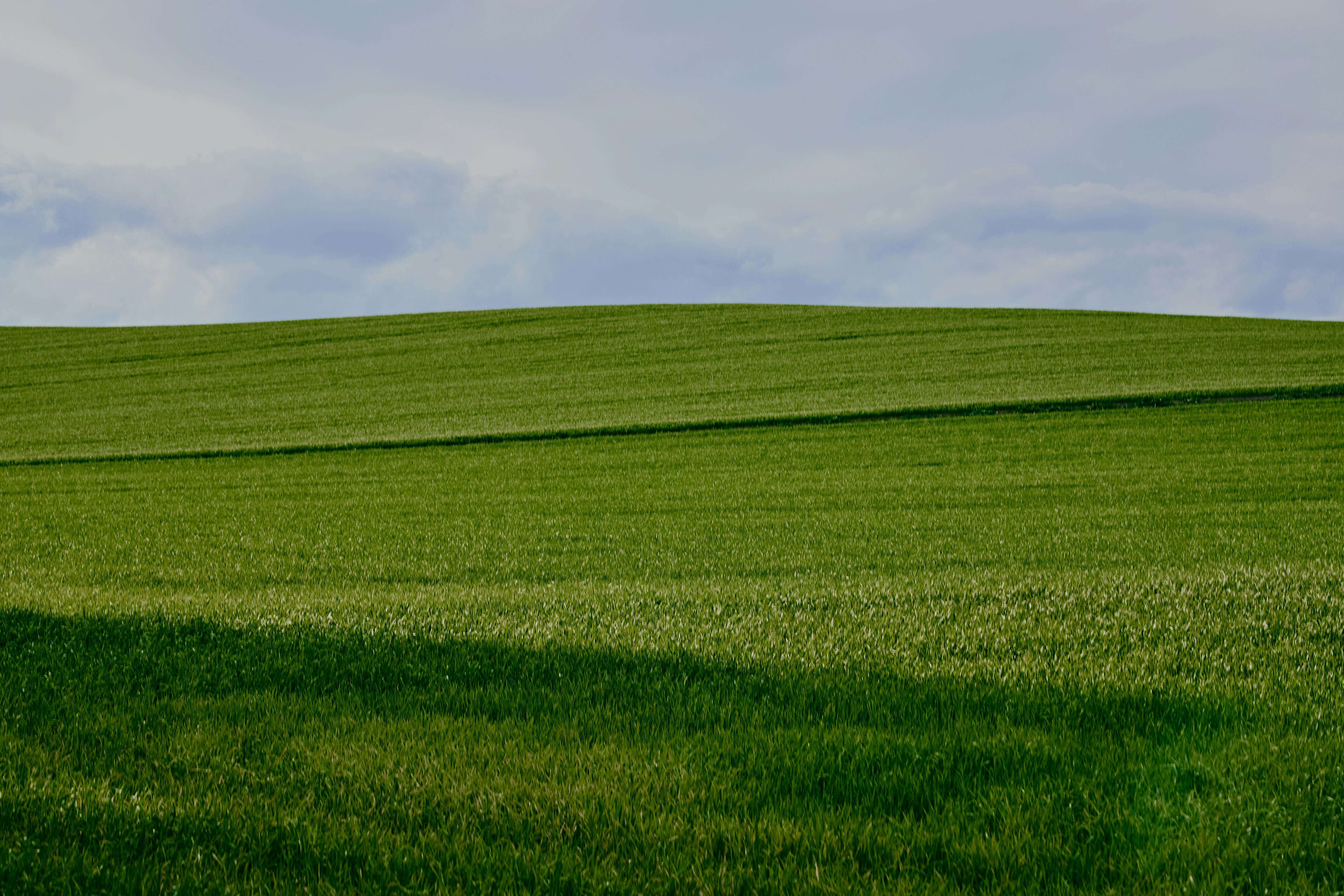Gratis Amplia extensión de campo verde que se extiende bajo un cielo nublado bajo la suave luz del día. Foto de stock