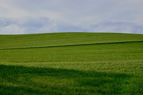 Free Wide expanse of green field stretching beneath a cloudy sky under soft daylight. Stock Photo