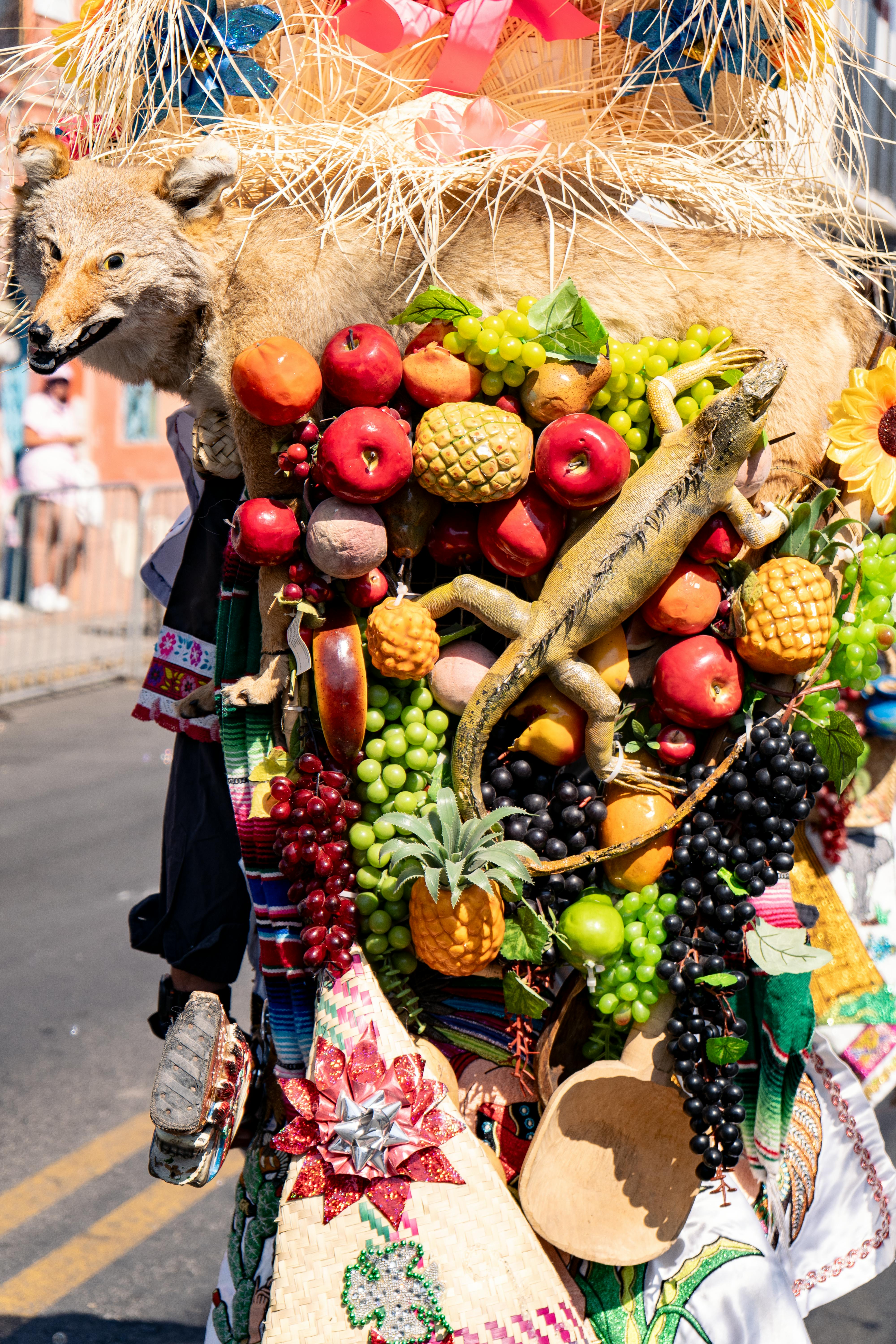 ฟรี ชุดแต่งกายสีสันสดใสที่ตกแต่งด้วยผลไม้และรูปสัตว์จำลอง ในขบวนแห่เทศกาลวัฒนธรรมกลางแจ้ง คลังภาพถ่าย