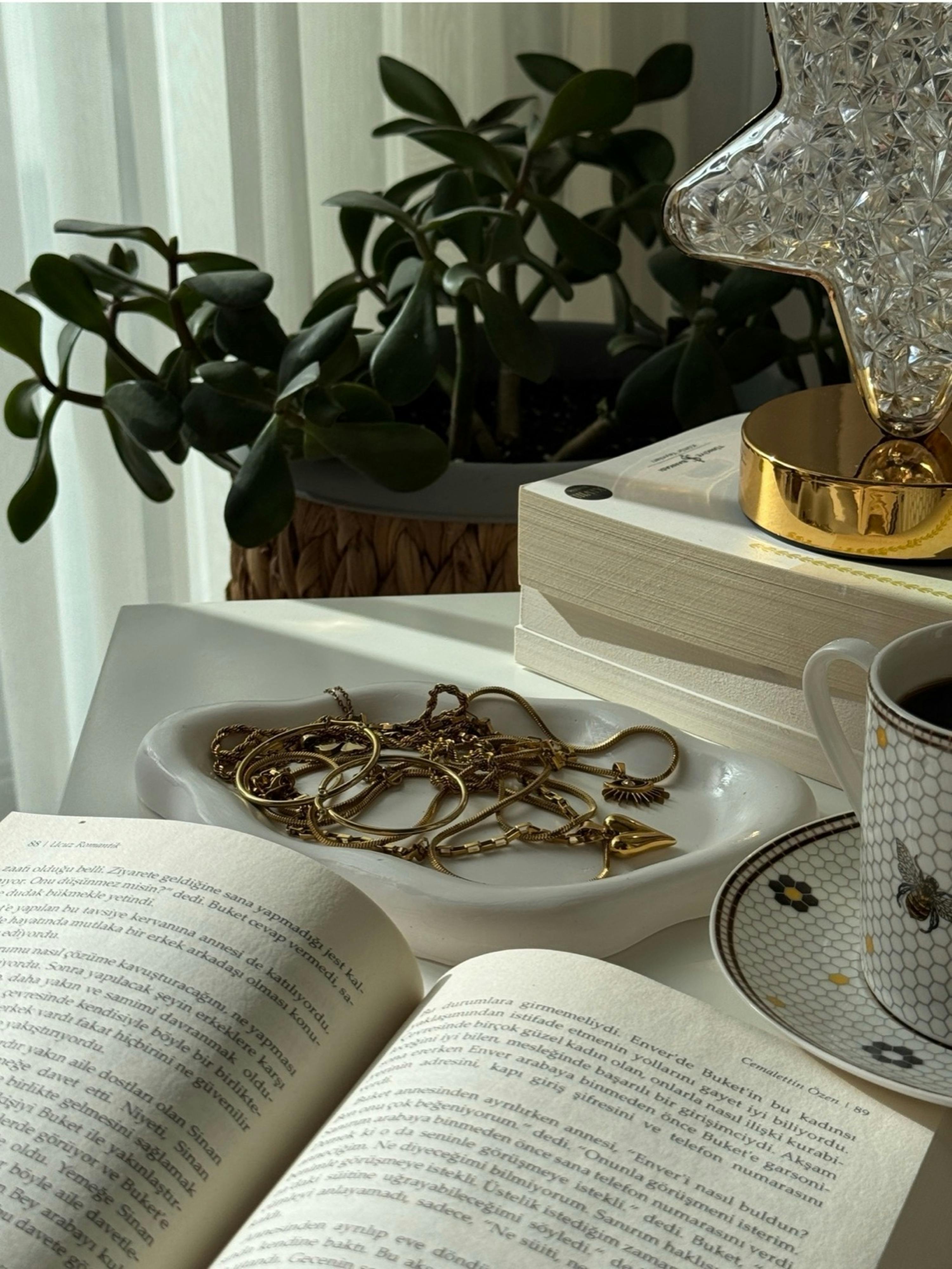 ฟรี คลังภาพถ่ายฟรี ของ # ในร่ม, türkiye, กระถางต้นไม้ คลังภาพถ่าย