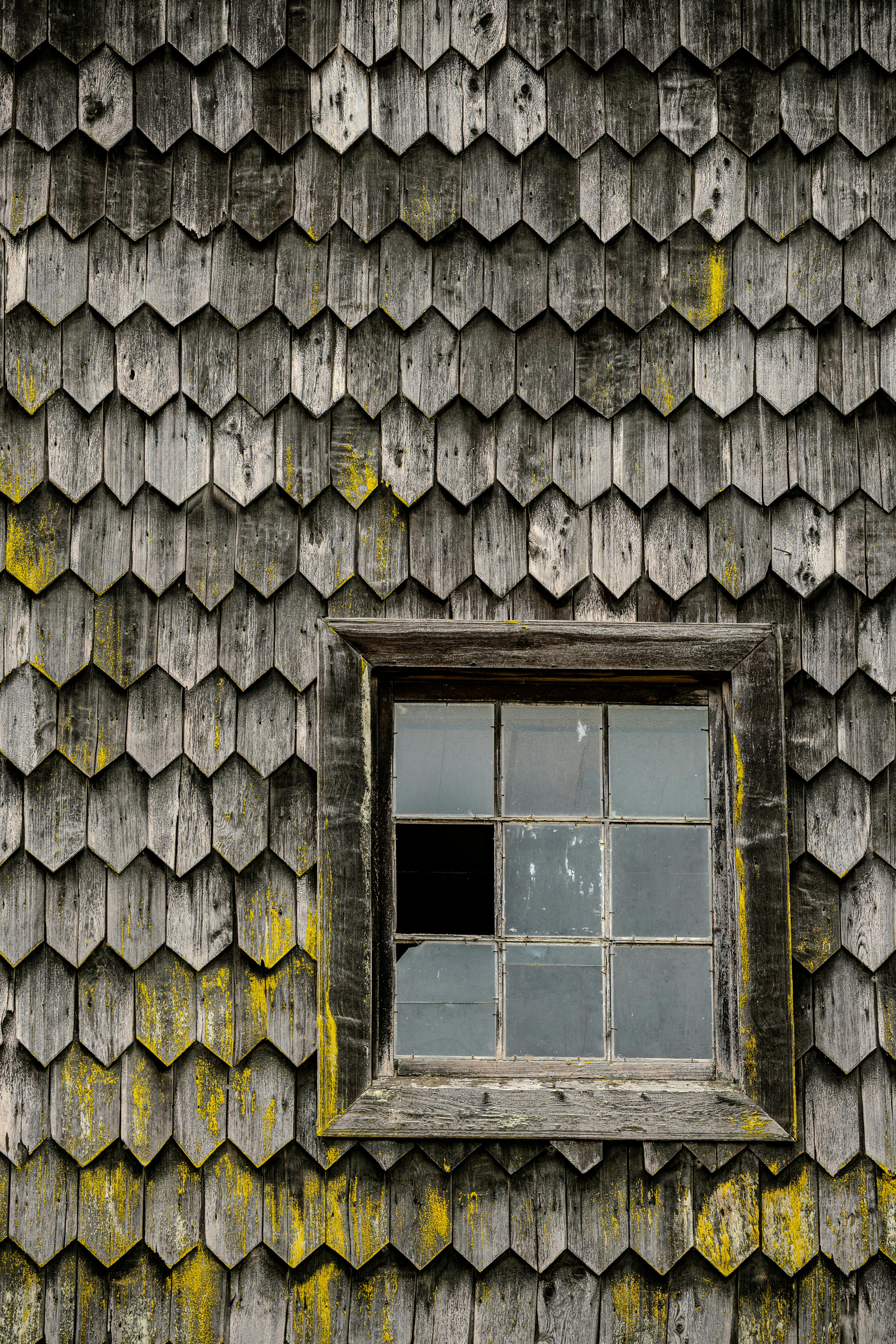 Gratis Un muro di legno d'epoca con licheni gialli e una finestra rustica a Castro, in Cile. Foto a disposizione