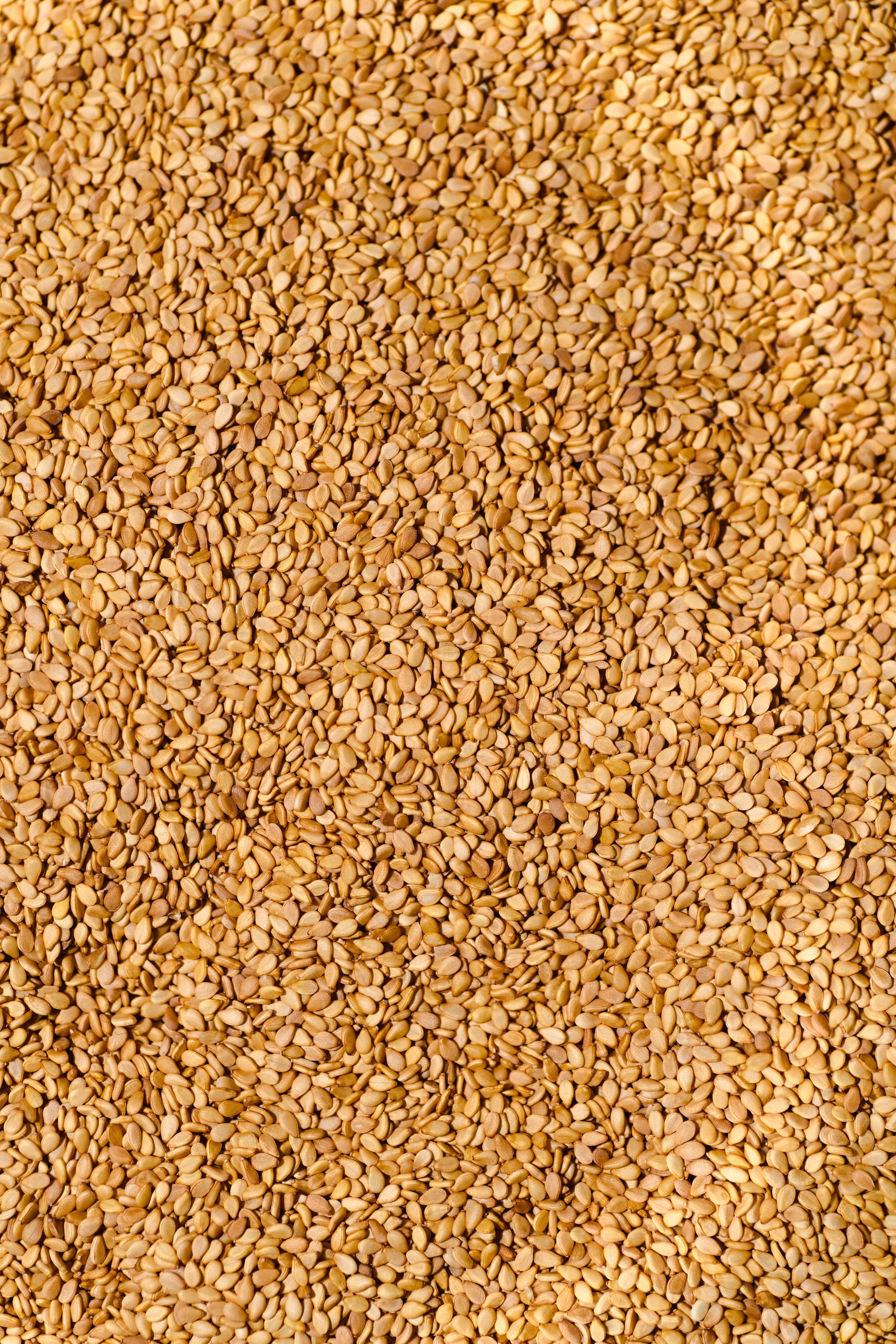 Golden Sesame Seeds Texture Background · Free Stock Photo