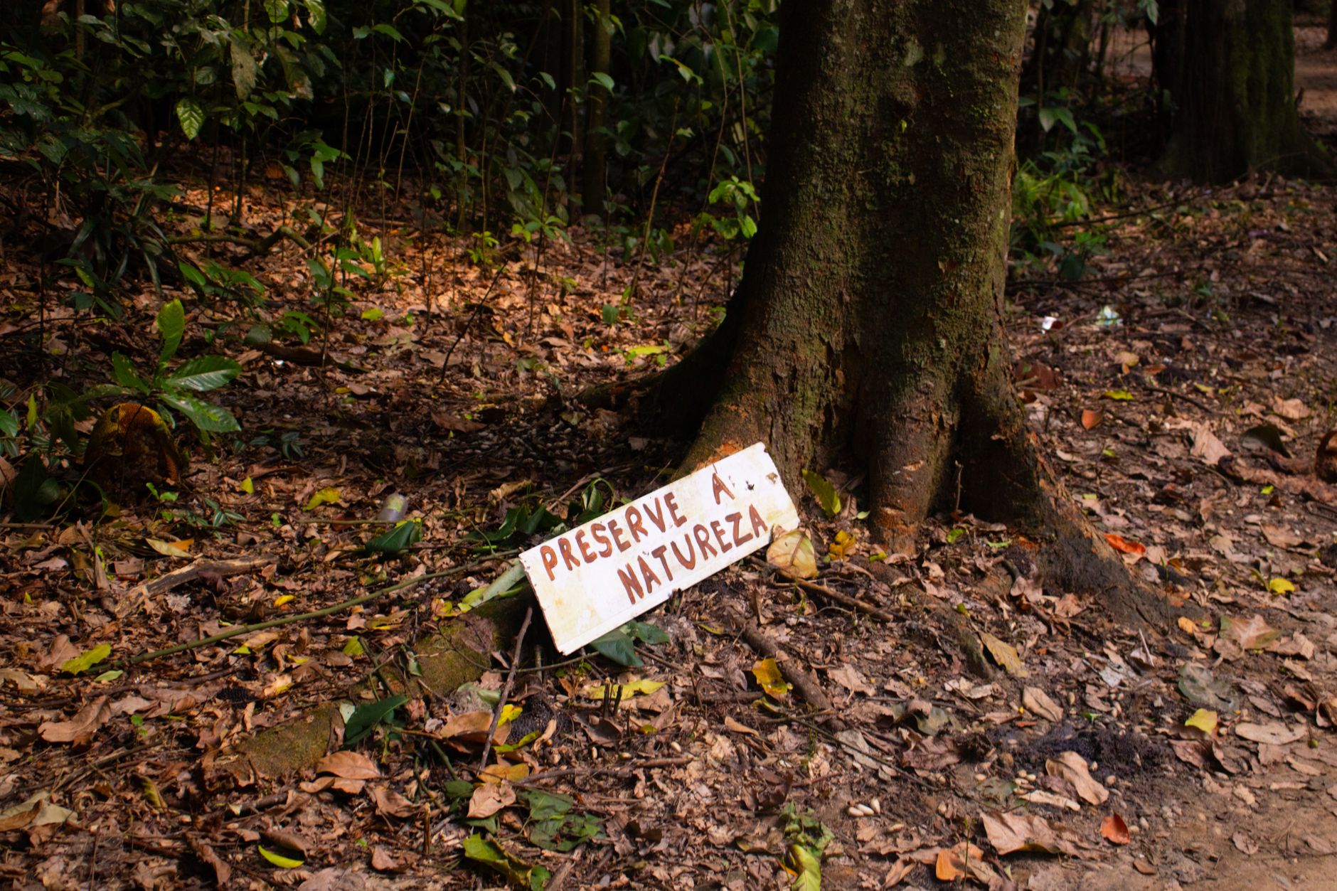 "Dobbiamo contribuire alla natura": comunità che "sposano i ghiacciai" per creare acqua