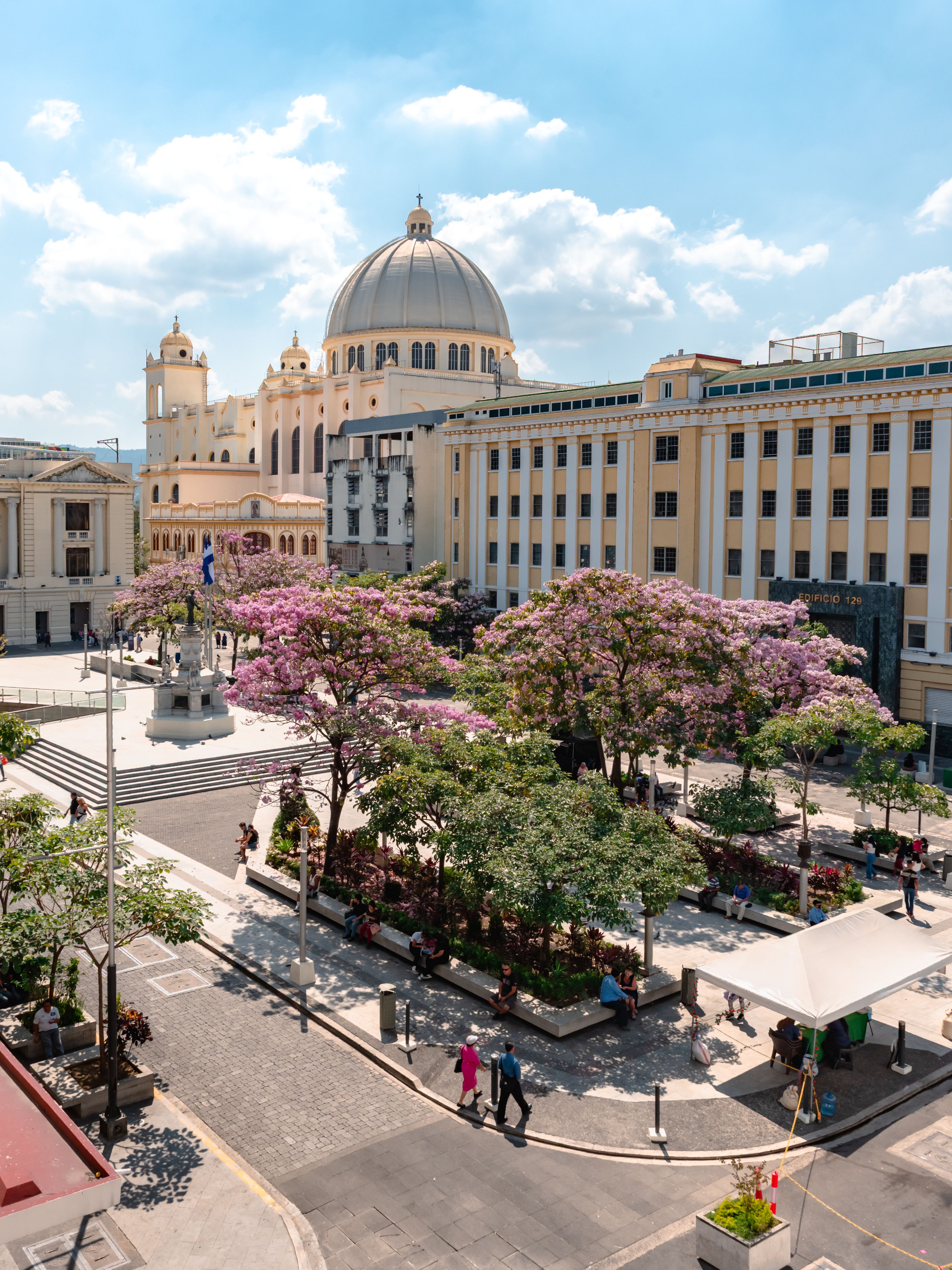 Scenic view of Plaza Gerardo Barrios with blooming trees in San Salvador, capturing urban spring beauty.