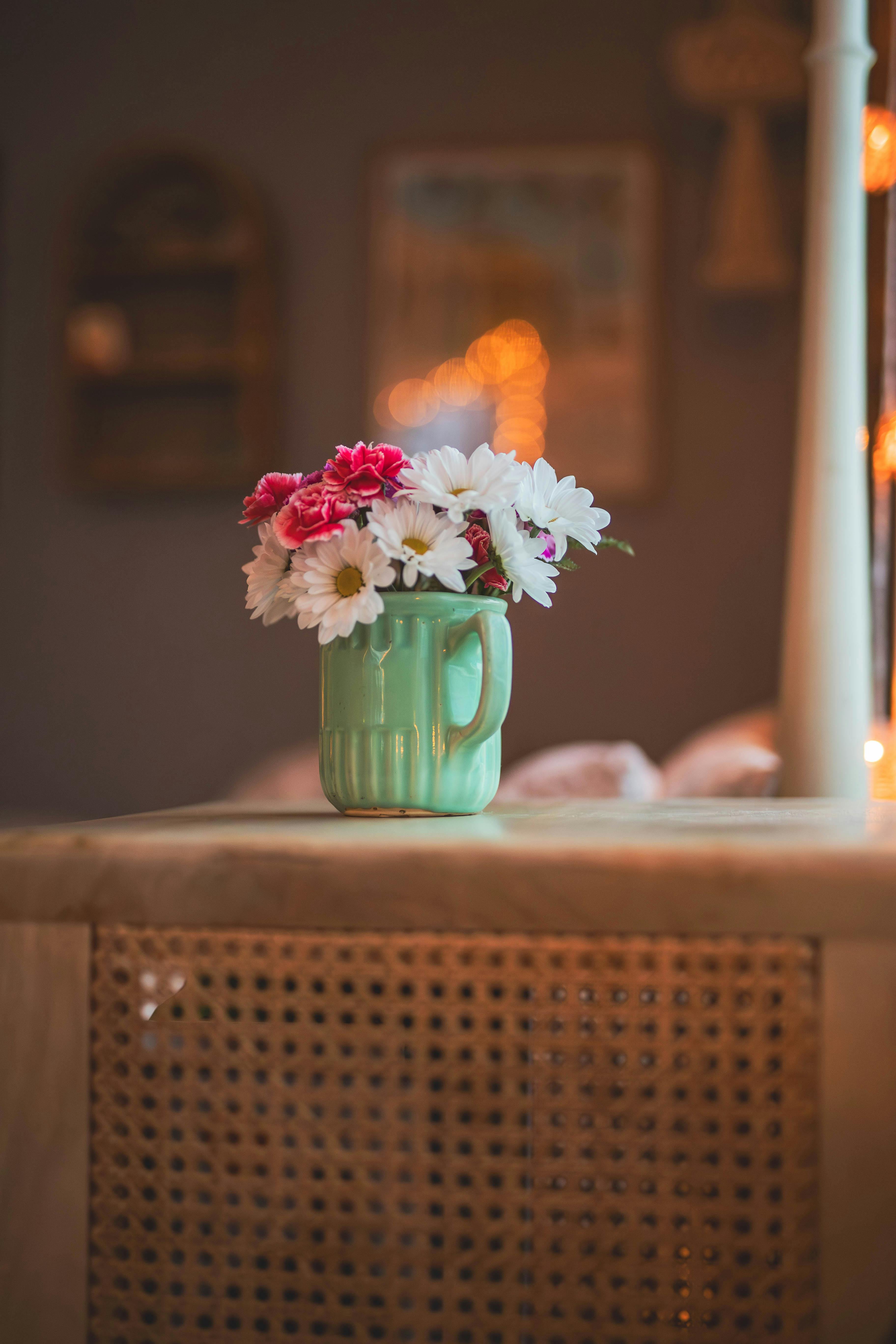 Gratis Margherite vivaci in un vaso verde illuminano una stanza accogliente e soffusa del Minnesota. Foto a disposizione