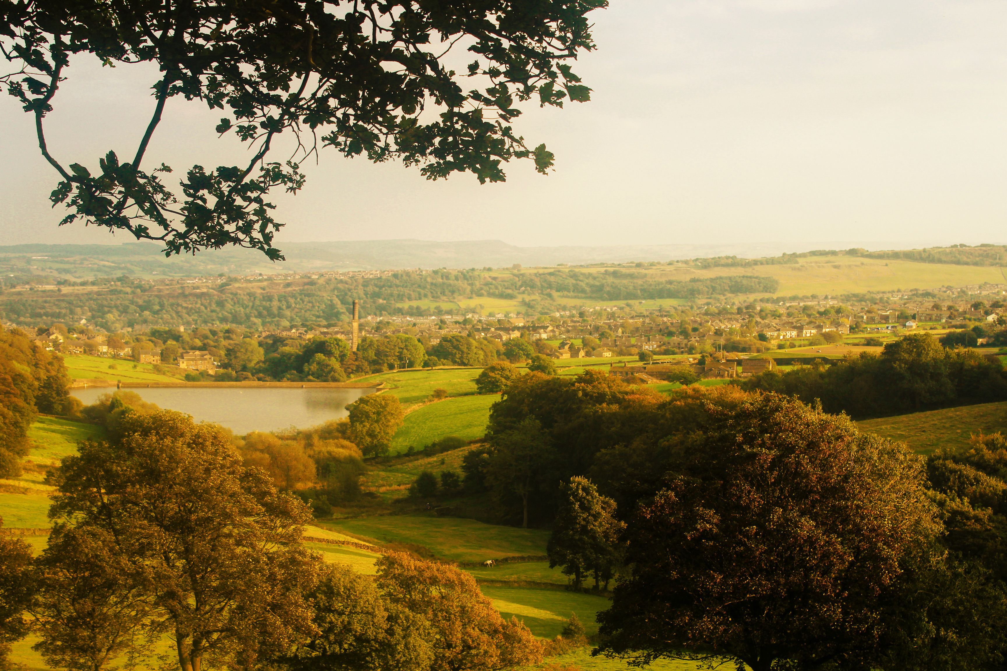Picturesque landscape of English countryside with lush greenery and a serene lake.